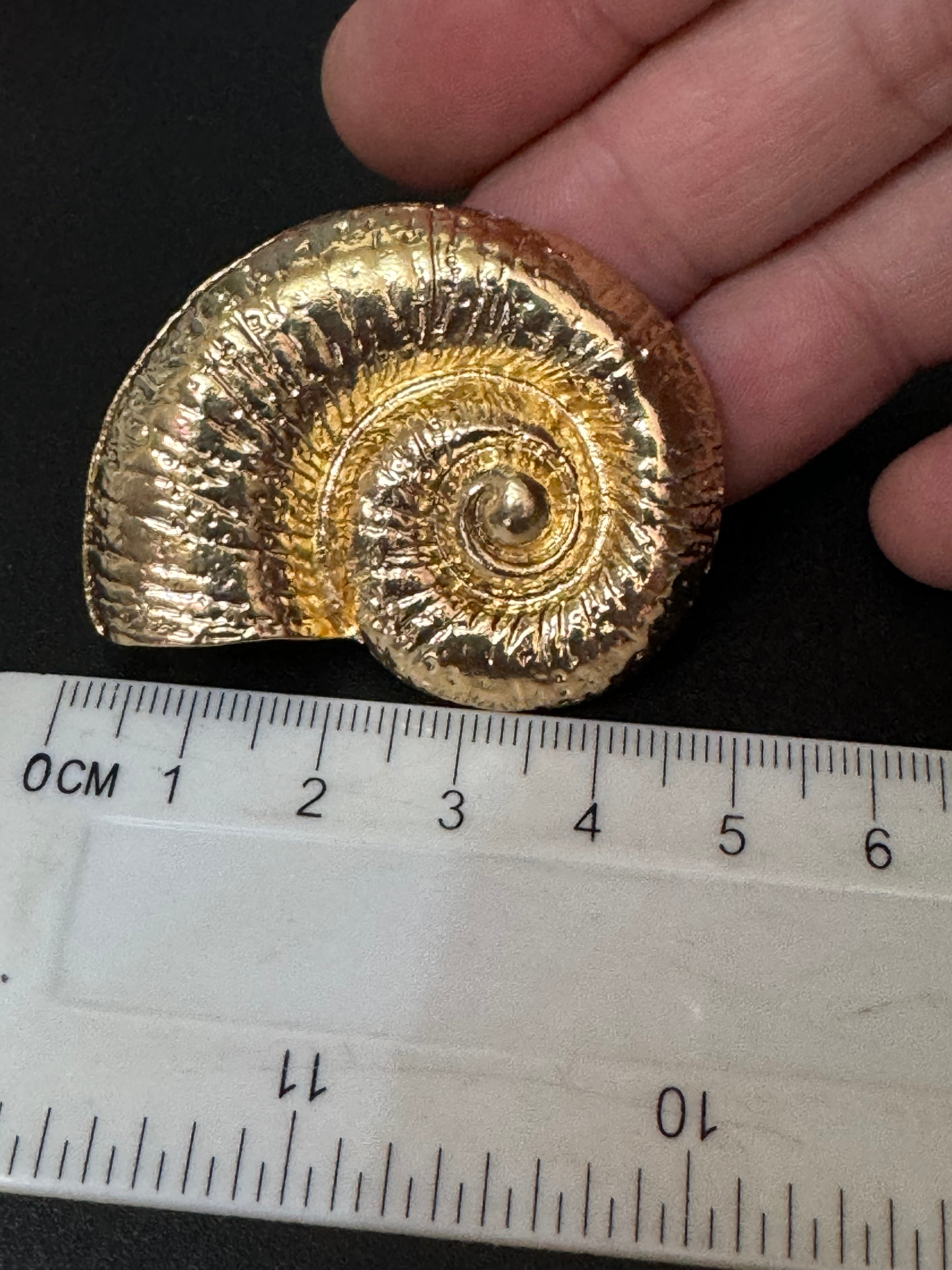 Oversized gold tone sea shell nautical earrings pierced