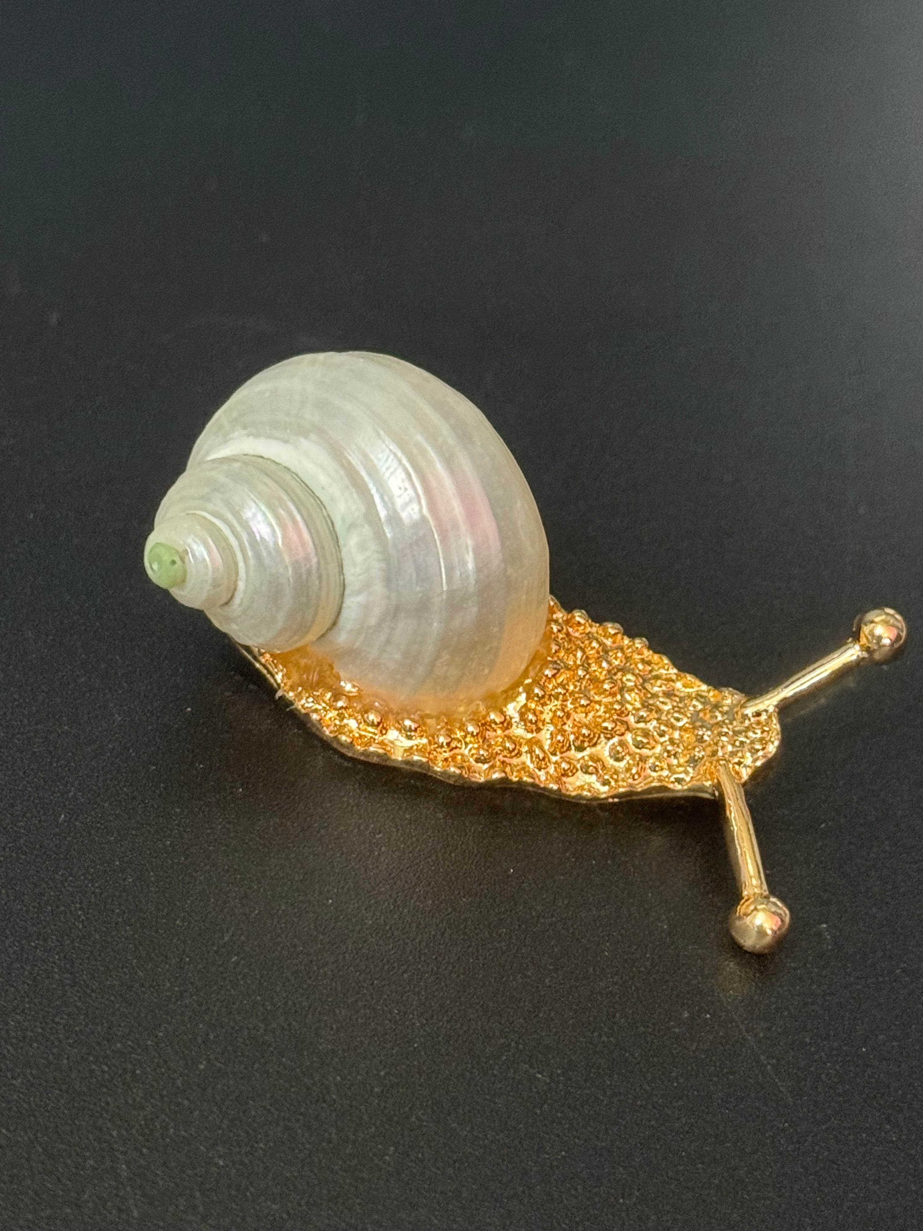 White seashell gold tone snail brooch