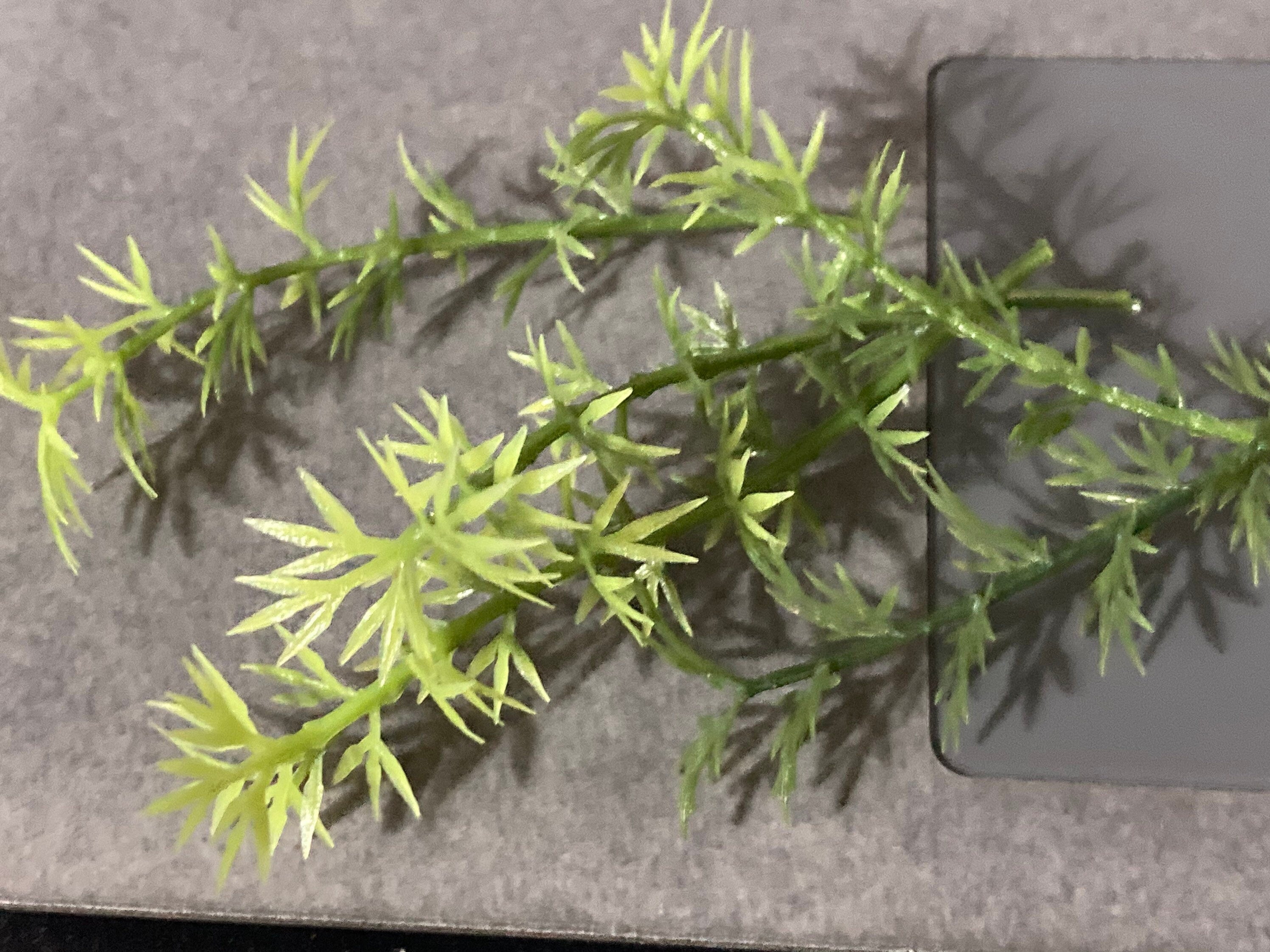 5 x Miniature green plastic bamboo ornamental cake topper Chinese Japanese scenery