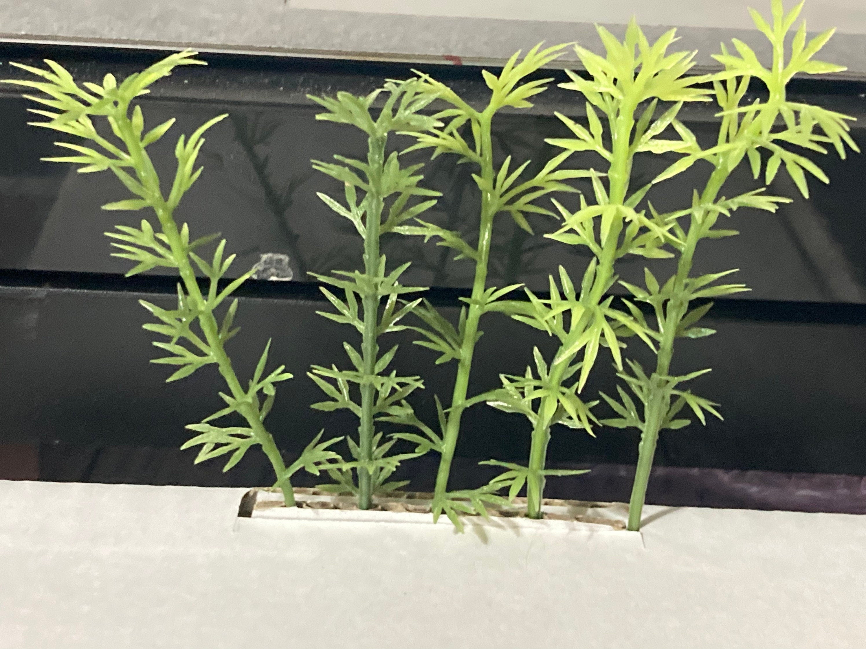 5 x Miniature green plastic bamboo ornamental cake topper Chinese Japanese scenery