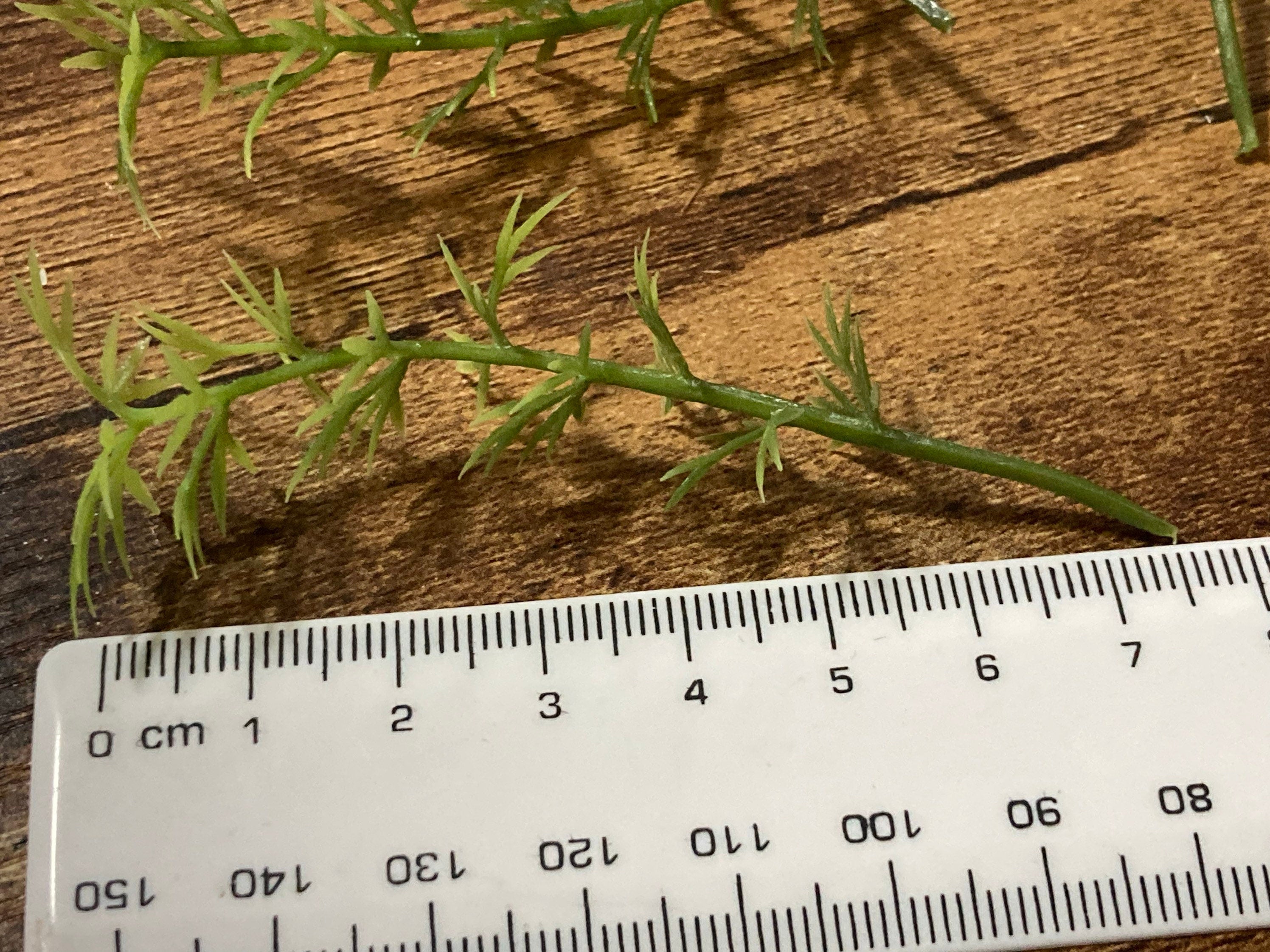 5 x Miniature green plastic bamboo ornamental cake topper Chinese Japanese scenery