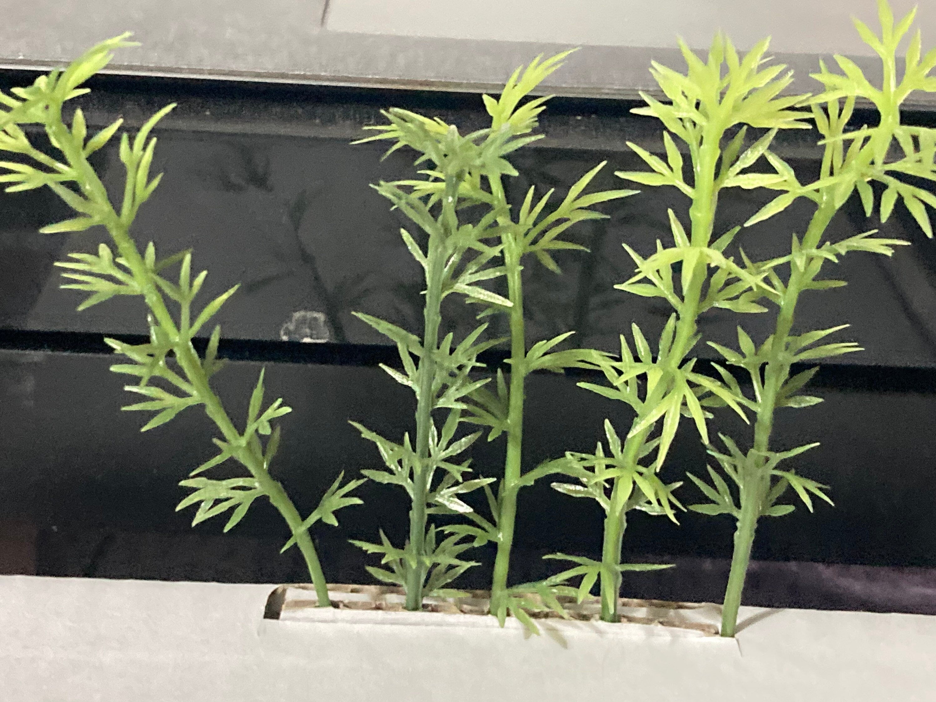 5 x Miniature green plastic bamboo ornamental cake topper Chinese Japanese scenery