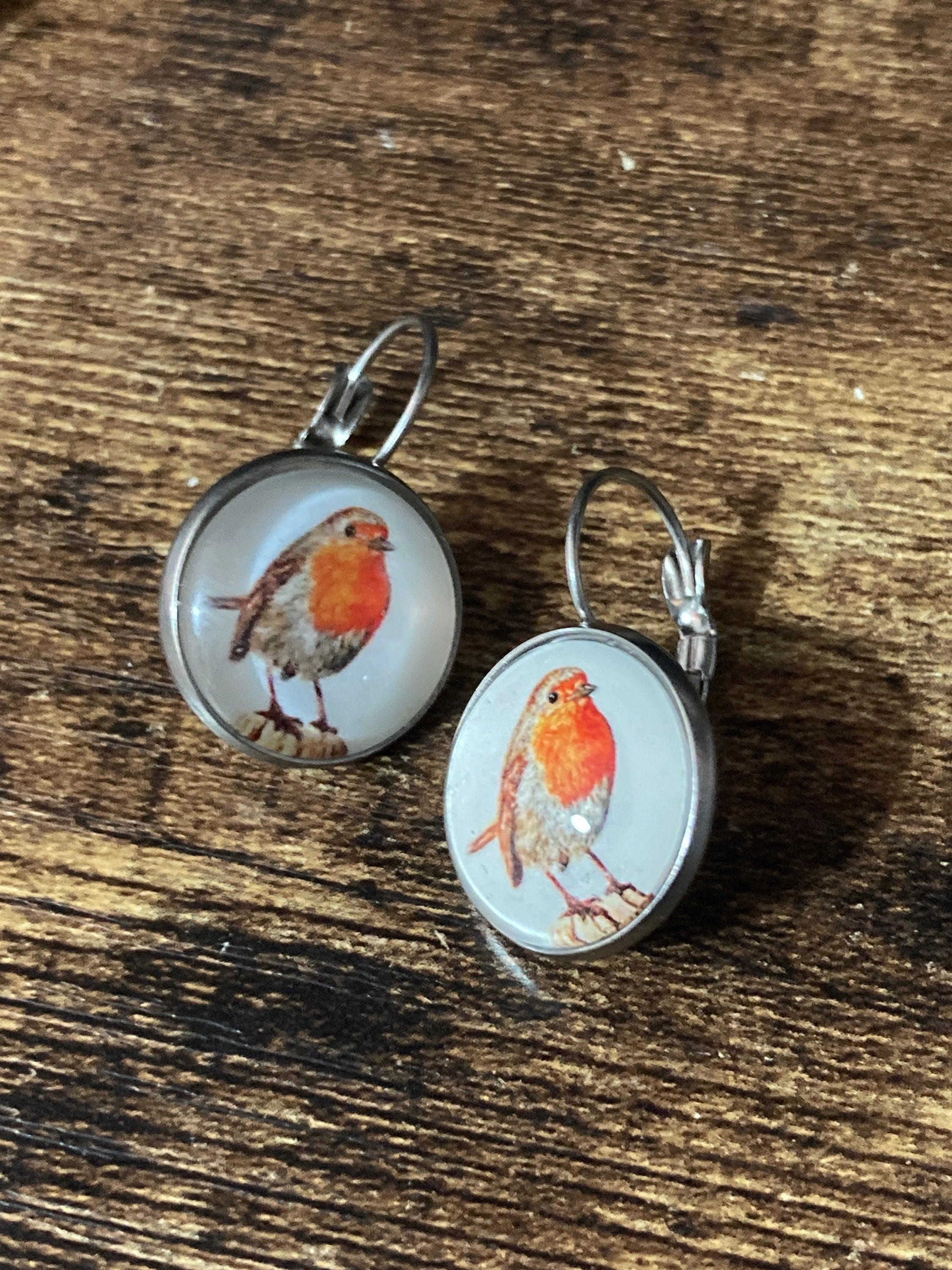 16mm Garden bird Robin redbreast stainless steel drop earrings silver