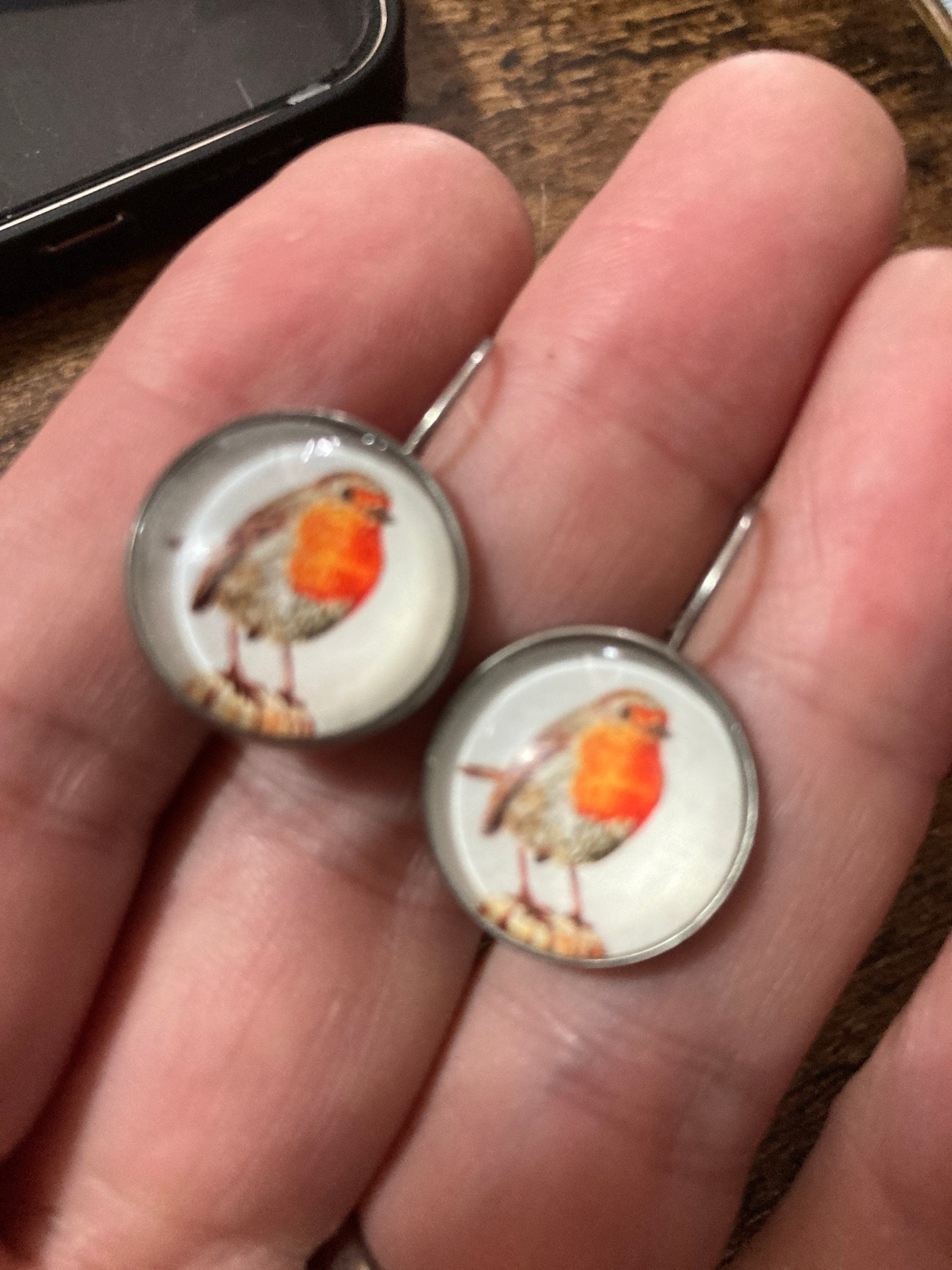 16mm Garden bird Robin redbreast stainless steel drop earrings silver