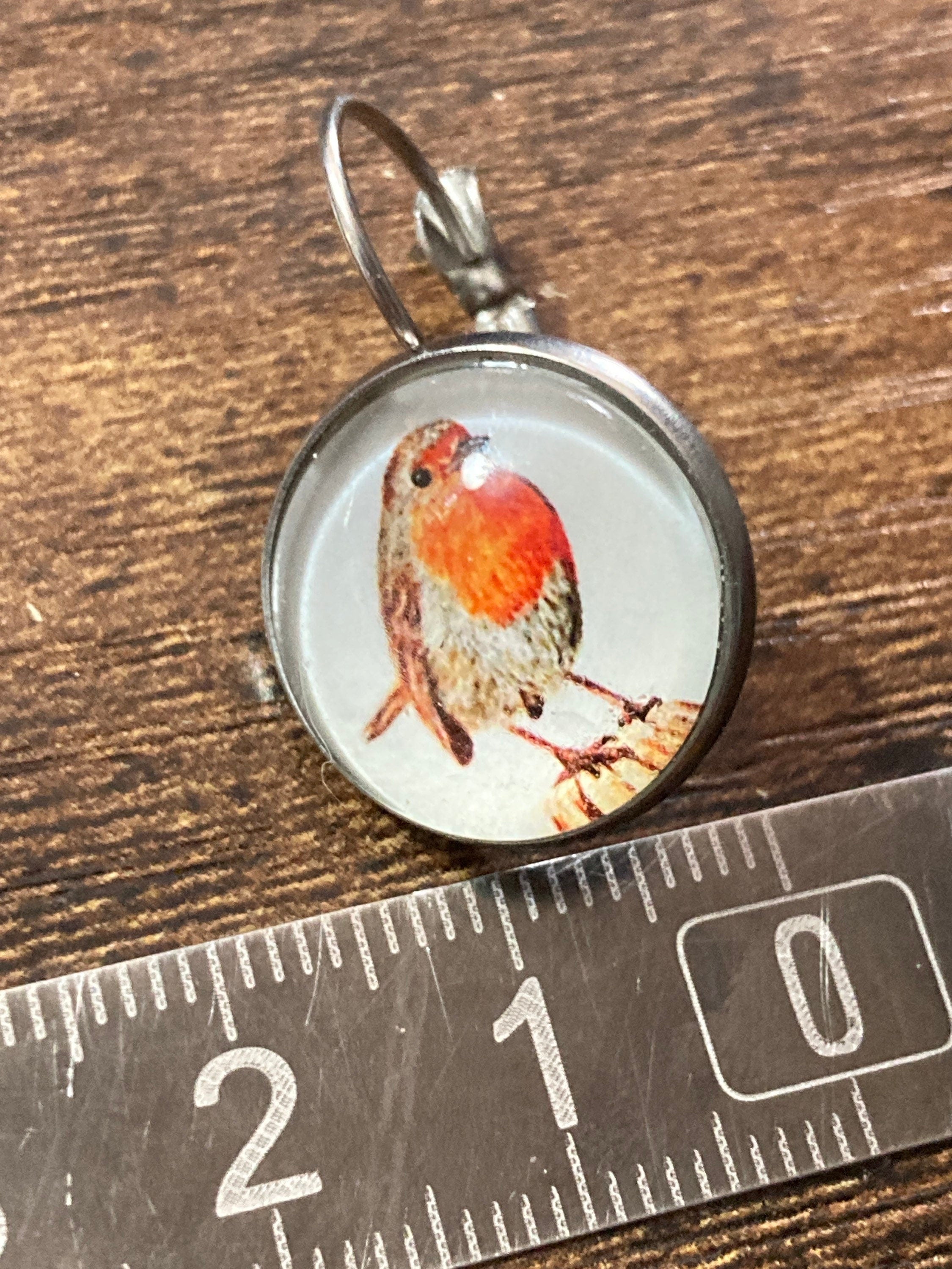 16mm Garden bird Robin redbreast stainless steel drop earrings silver