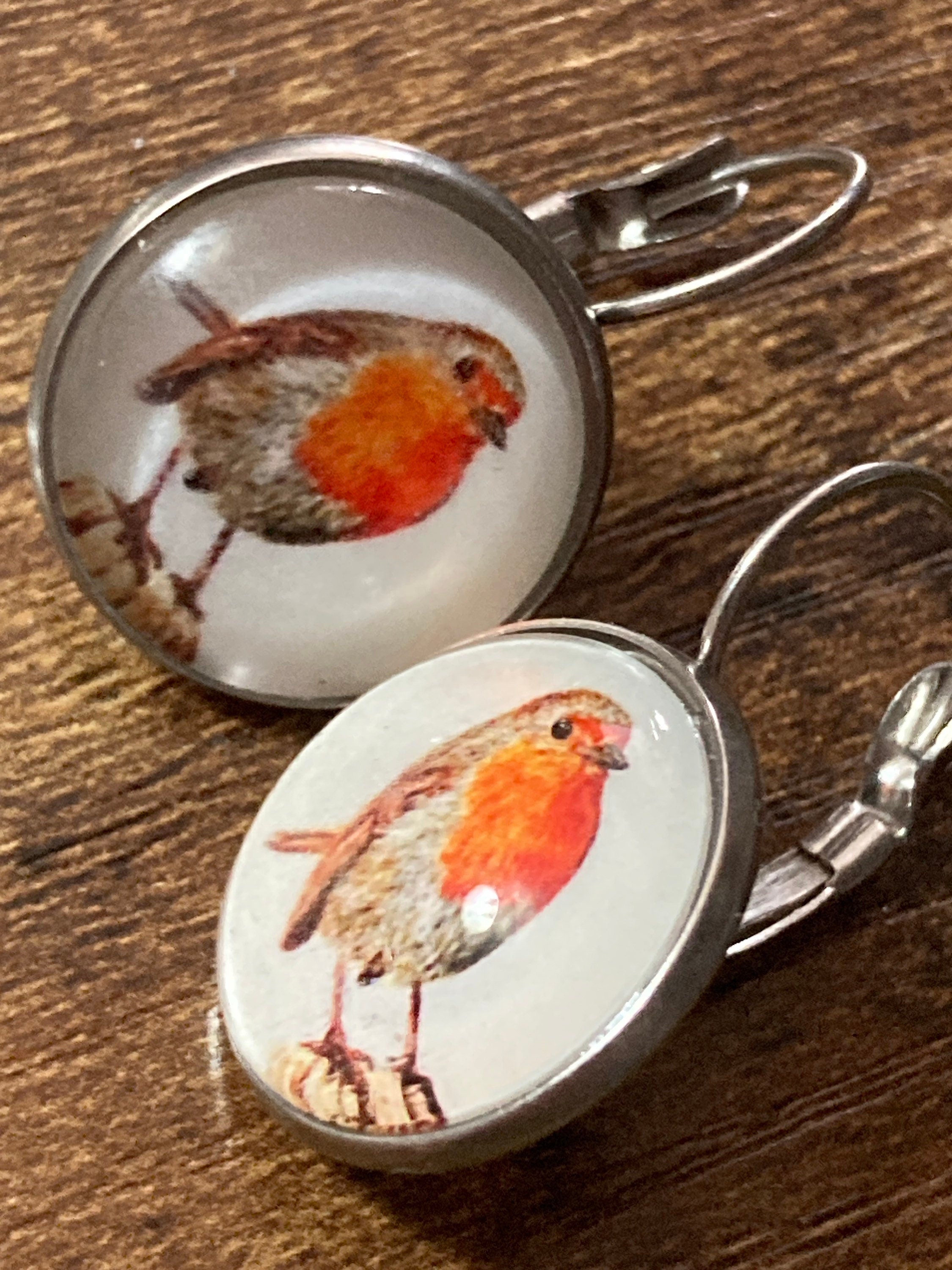 16mm Garden bird Robin redbreast stainless steel drop earrings silver