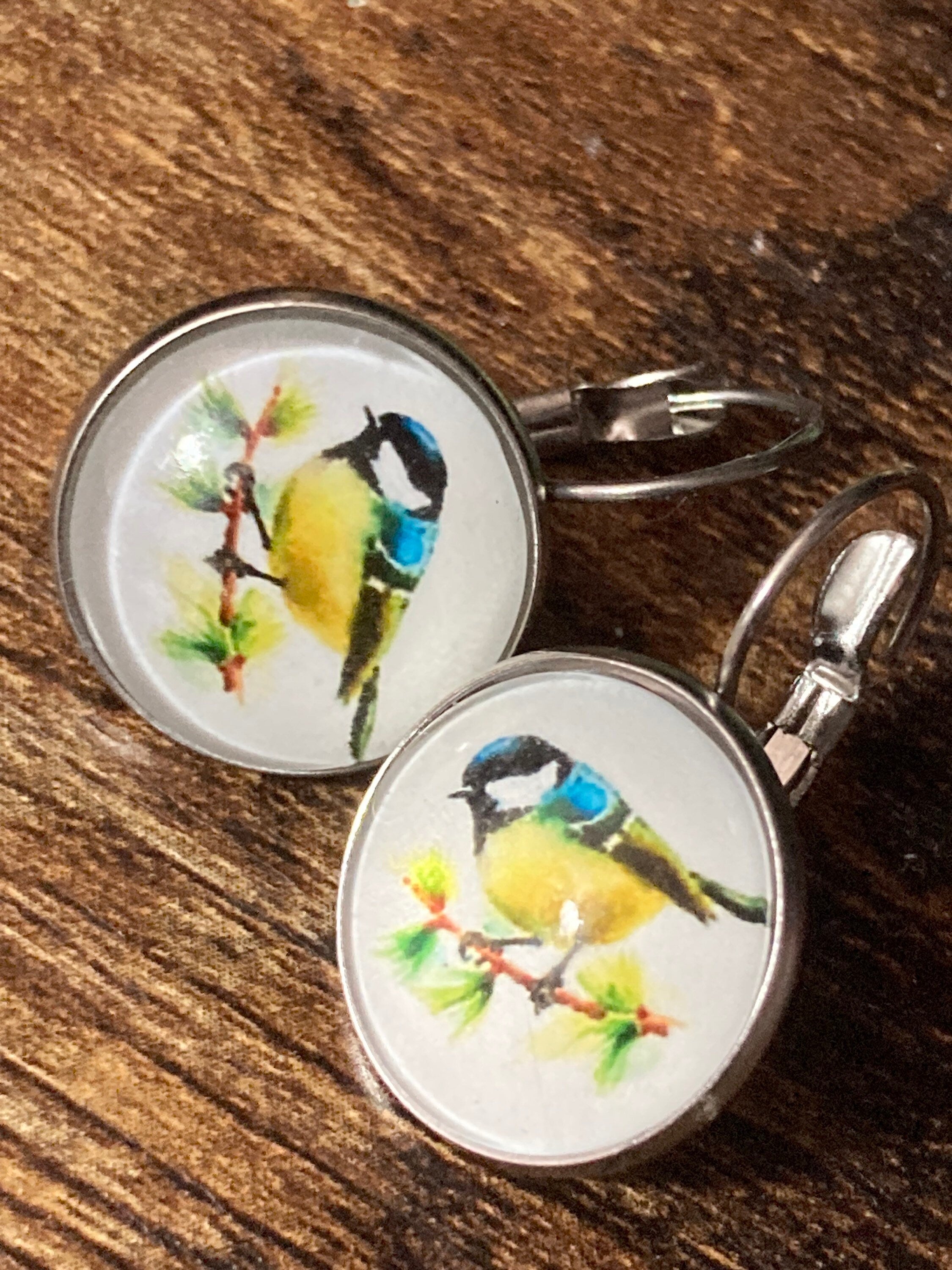 16mm Blue tit earrings glass cabochon Stainless steel garden birds drop earrings