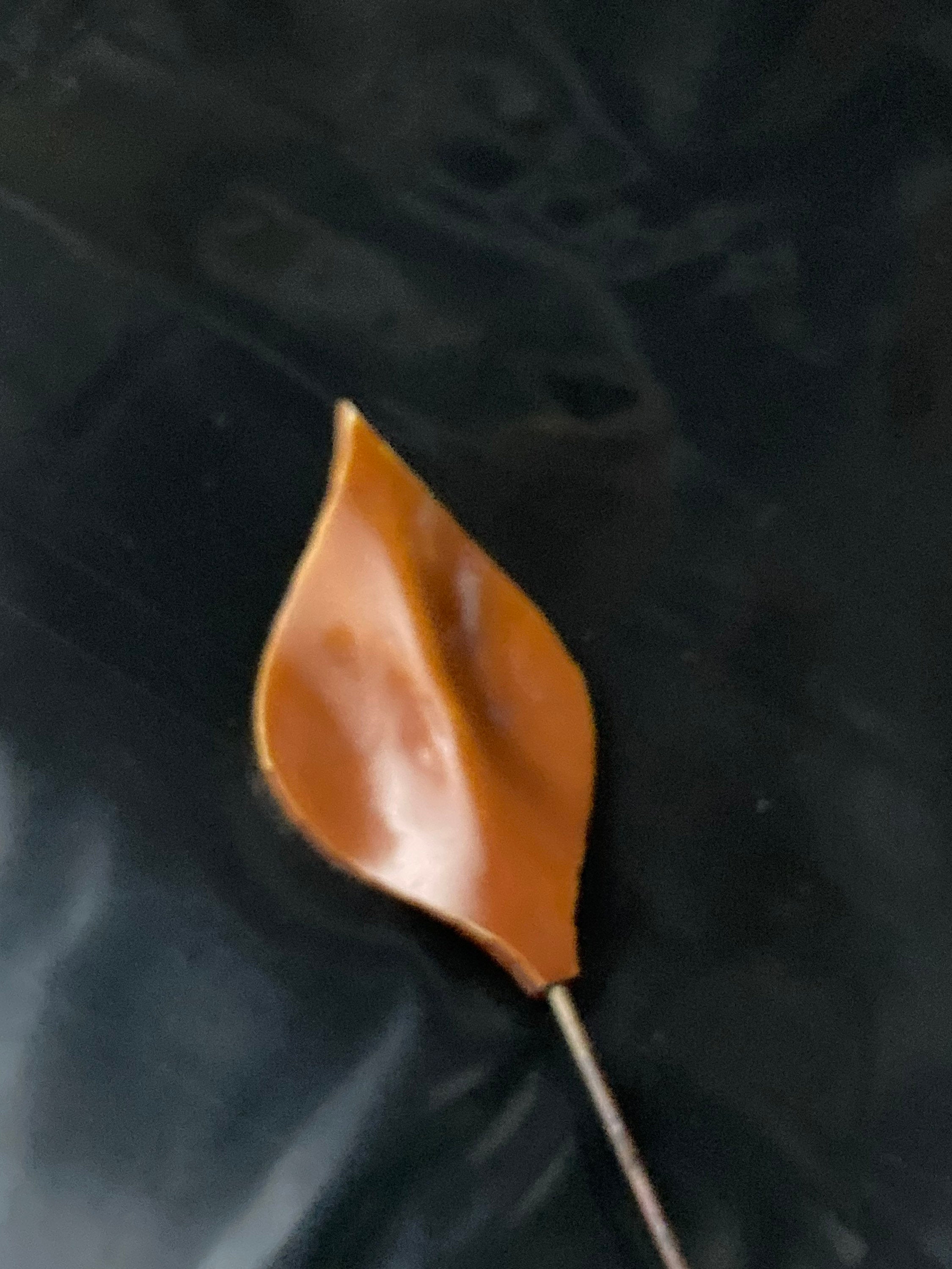 Leaf Hat flash or hairpin detailed pin, Art Deco French