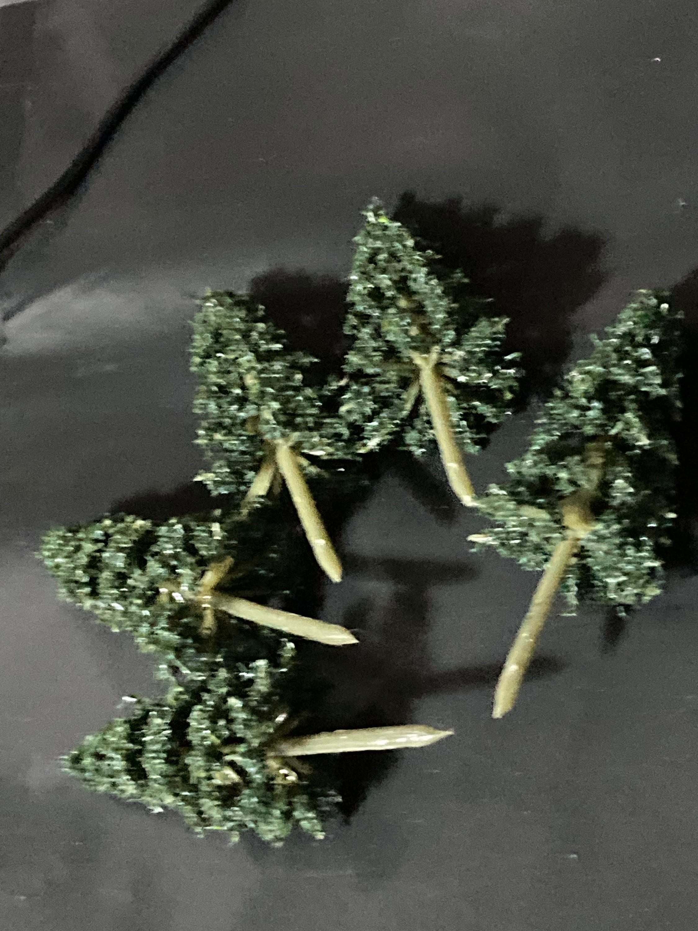 Miniature Fir Trees (5 Pieces): 7cm Dark Green Cake Toppers