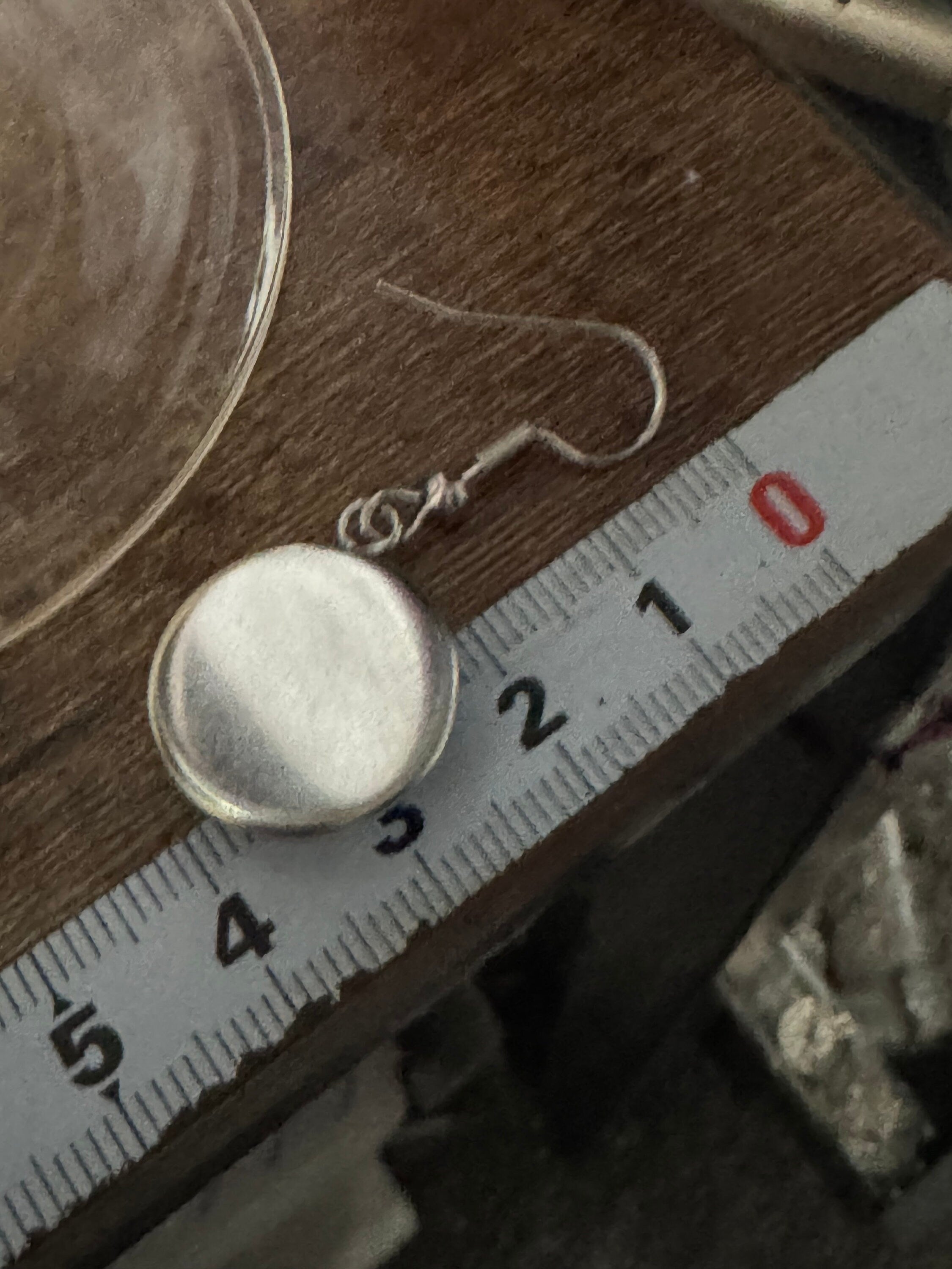 16mm Garden bird Robin redbreast stainless steel drop earrings silver