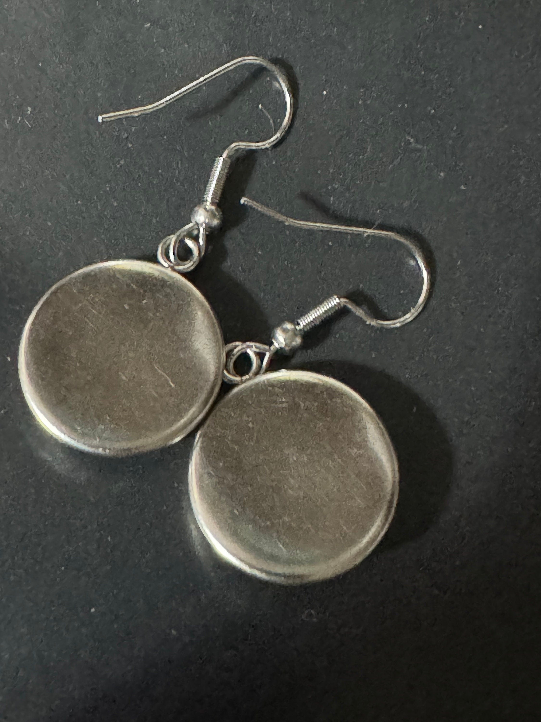 16mm Garden bird Robin redbreast stainless steel drop earrings silver