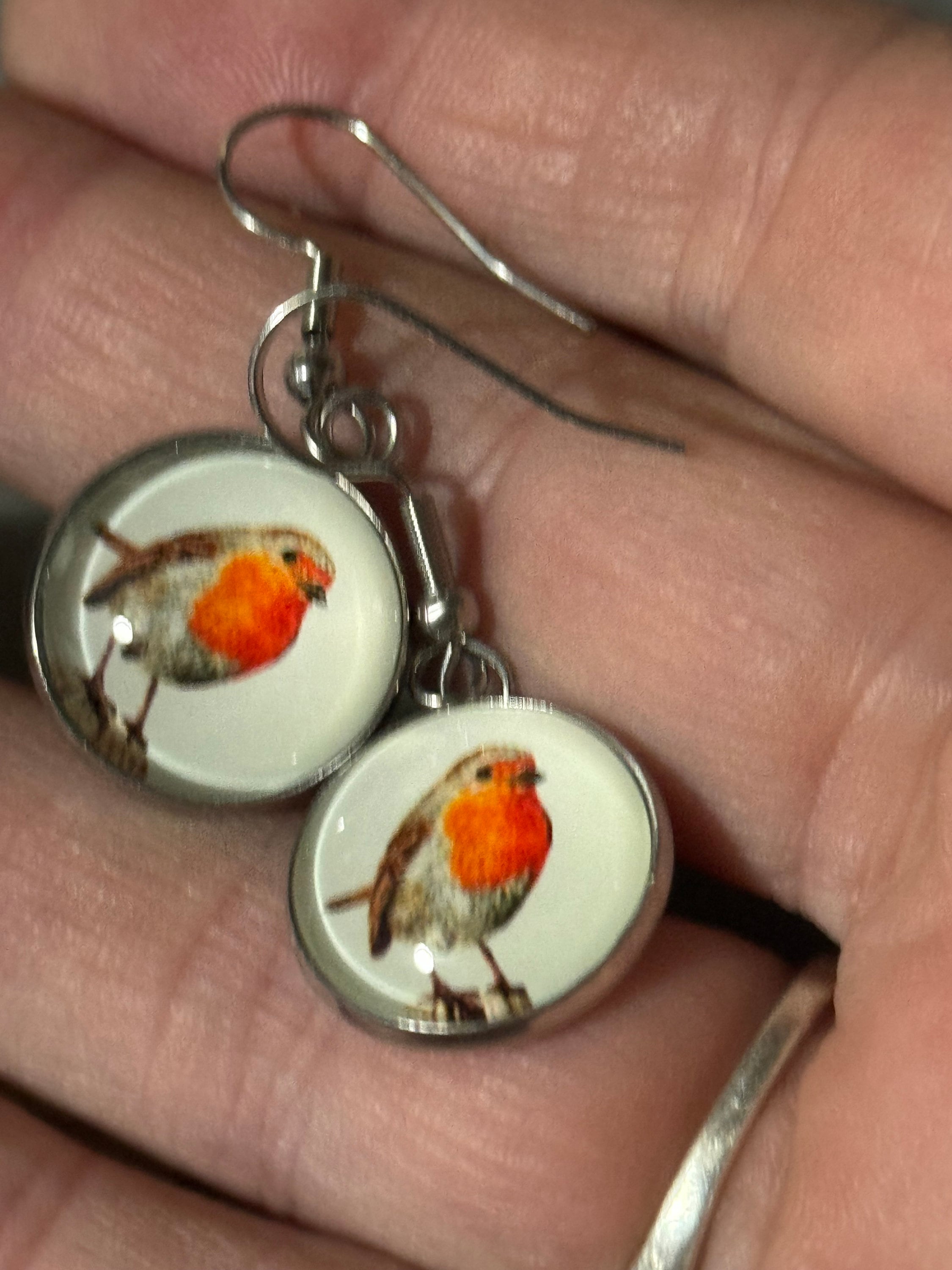 16mm Garden bird Robin redbreast stainless steel drop earrings silver