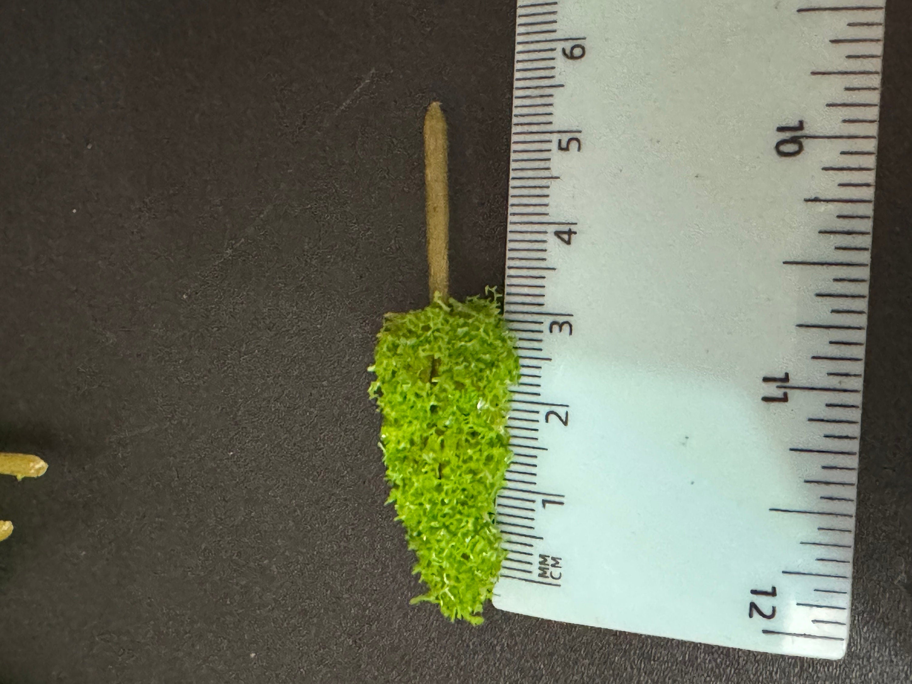 Miniature Green Fir Trees (5 pc): Cake Toppers, Scenery Craft (5cm)