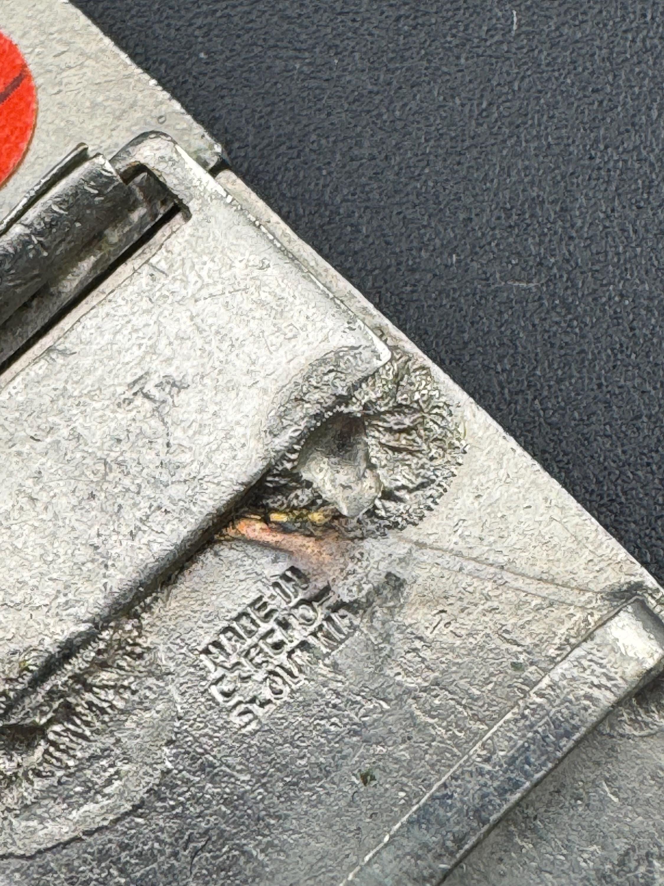 Antique Vintage Art Deco Pierre bex style czech blue red pink guilloche Enamel paste set Belt Buckle 1910s 1920s Sewing Haberdashery