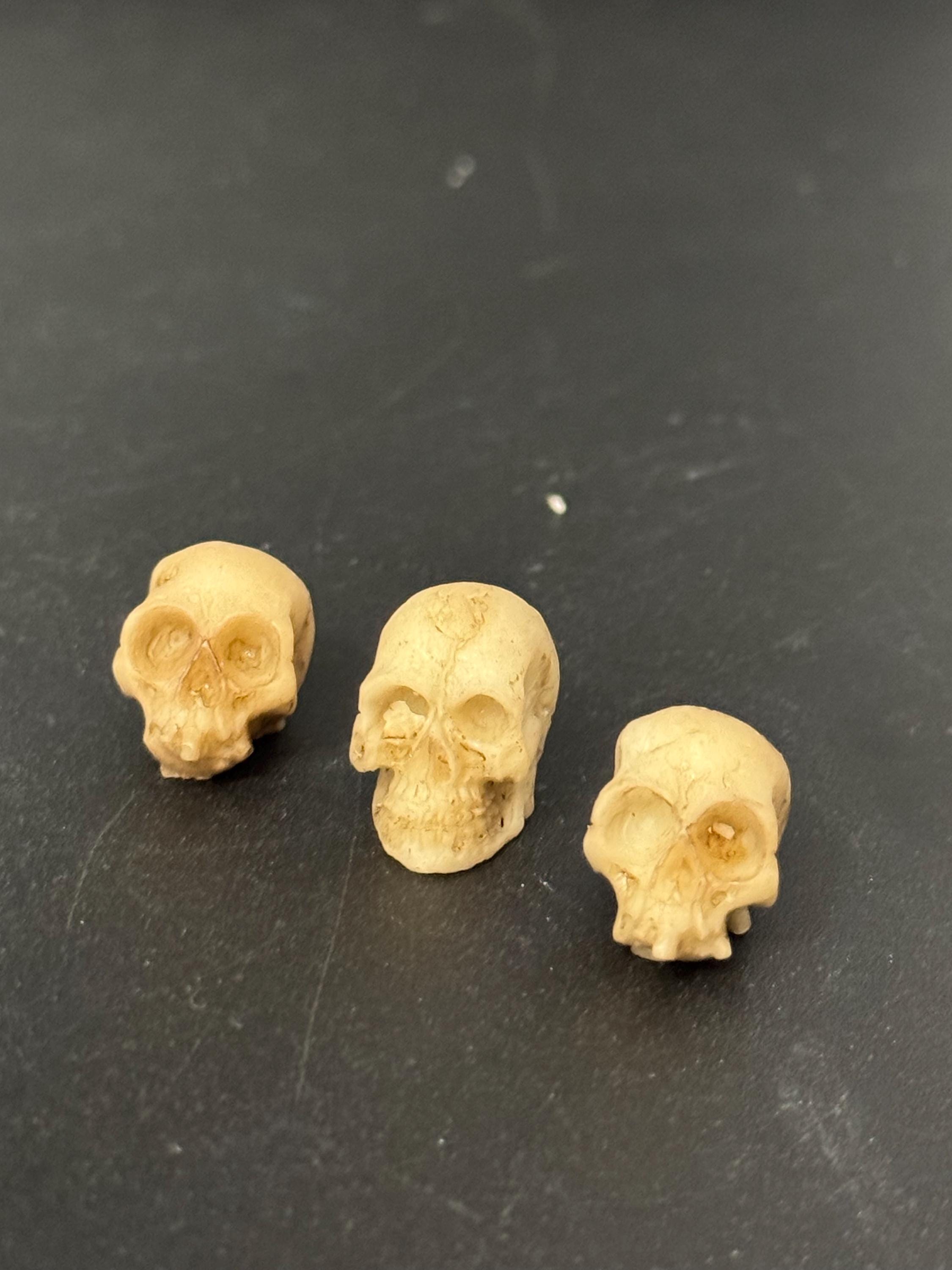 Miniatures set of 3 spooky Halloween skull cake topper decorations, craft scenery, reusable plastic