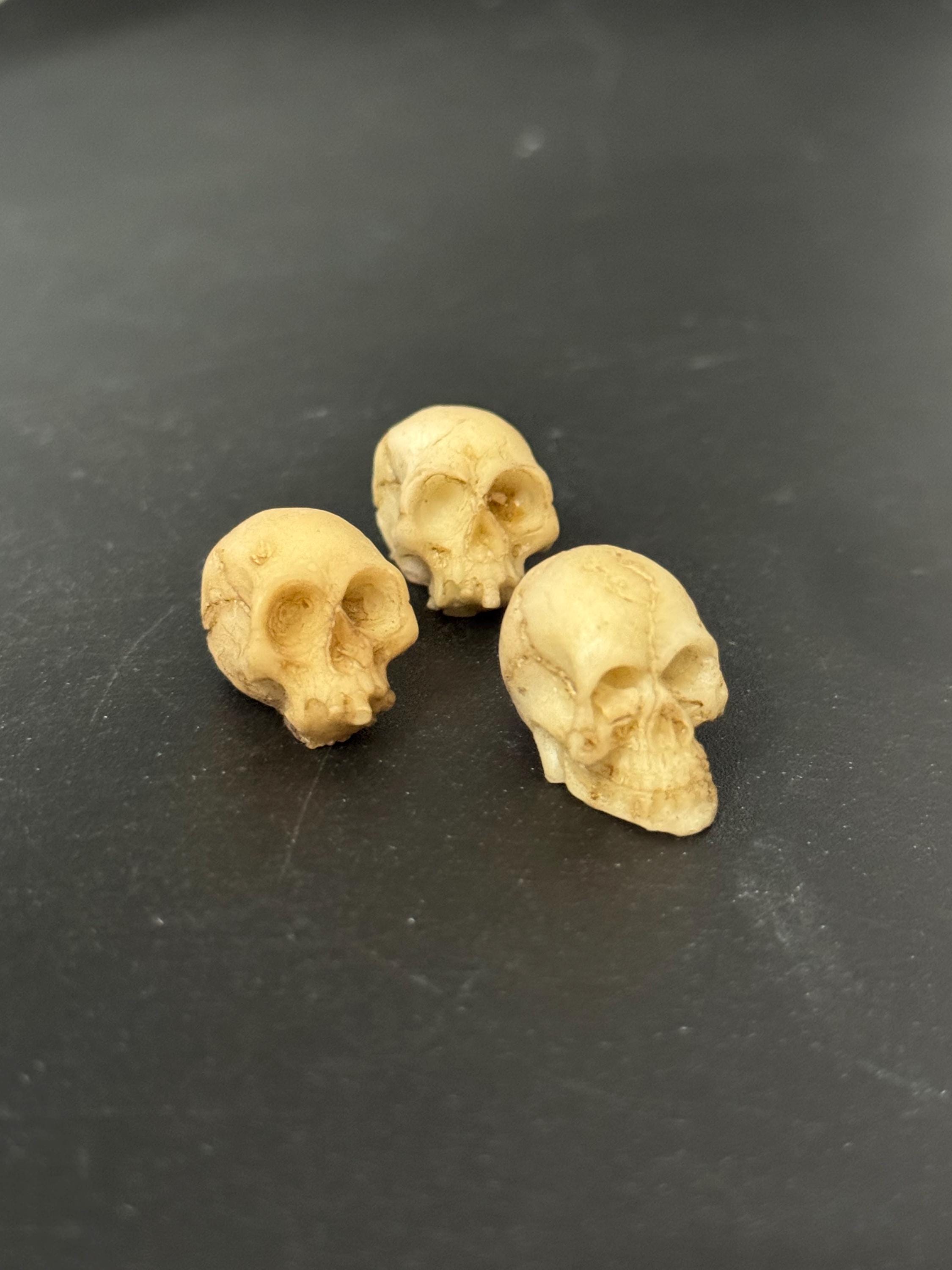 Miniatures set of 3 spooky Halloween skull cake topper decorations, craft scenery, reusable plastic