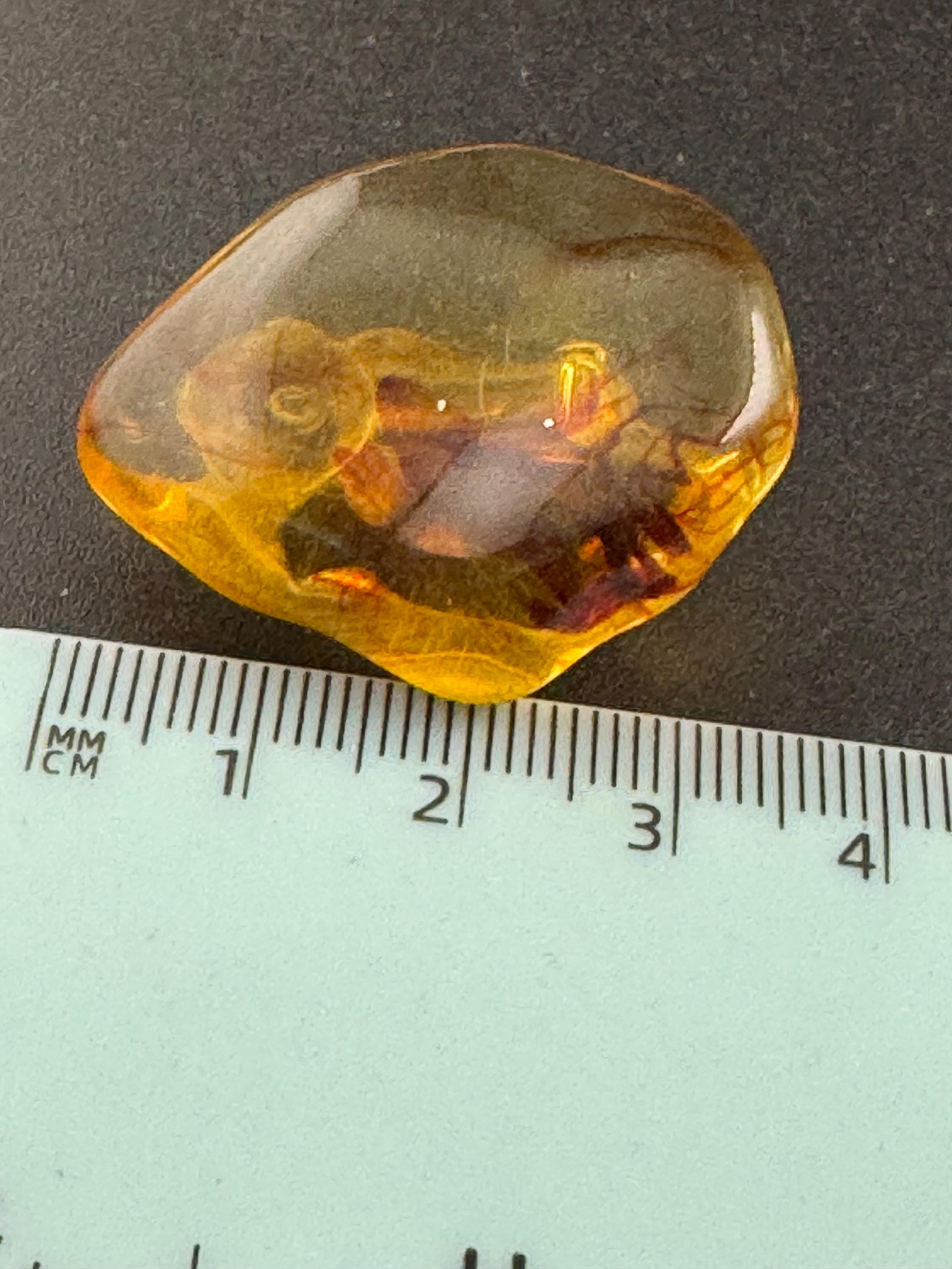 Vintage Plastic Amber Brown acrylic nugget clip on Earrings