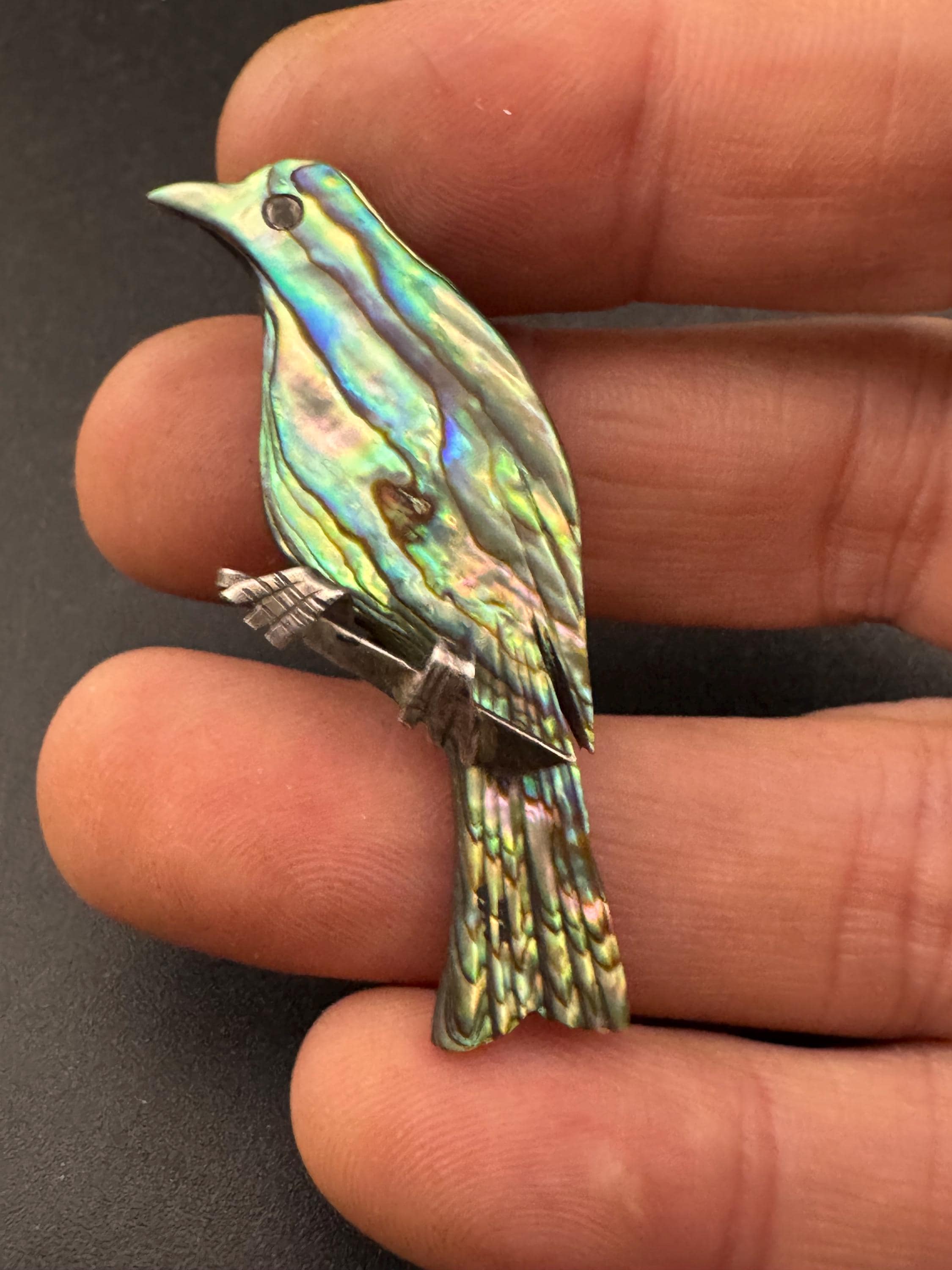 925 abalone shell bird Brooch, sterling silver