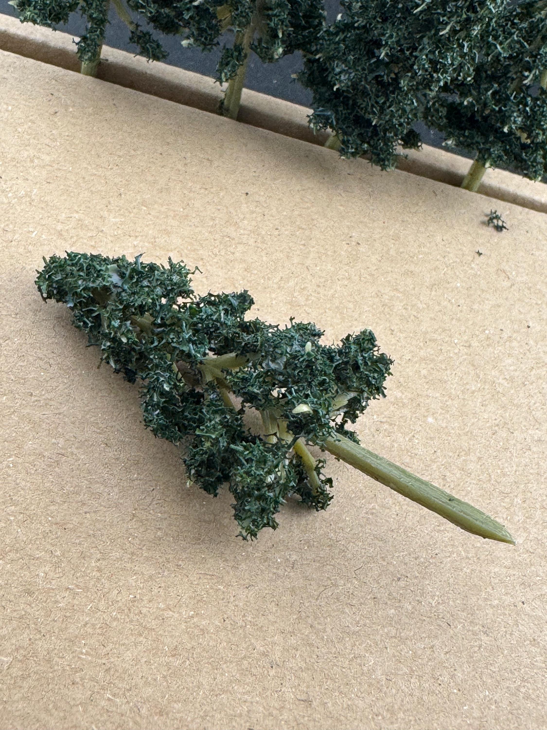 Dark Green Miniature Fir Trees (5 Pieces): 7cm craft scenery