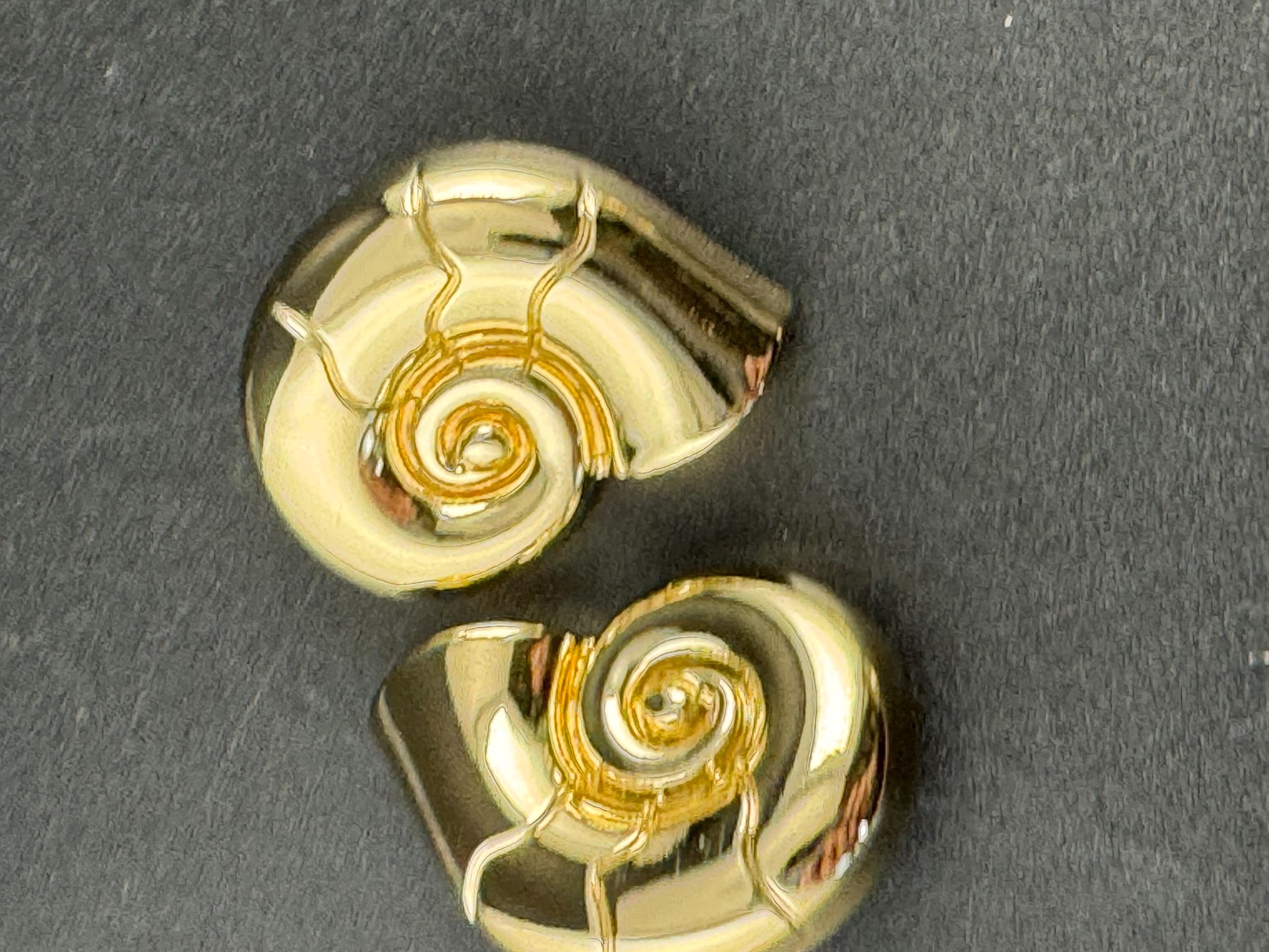 Gold ammonite shell sewing buttons, three sizes 30mm 23mm 20mm
