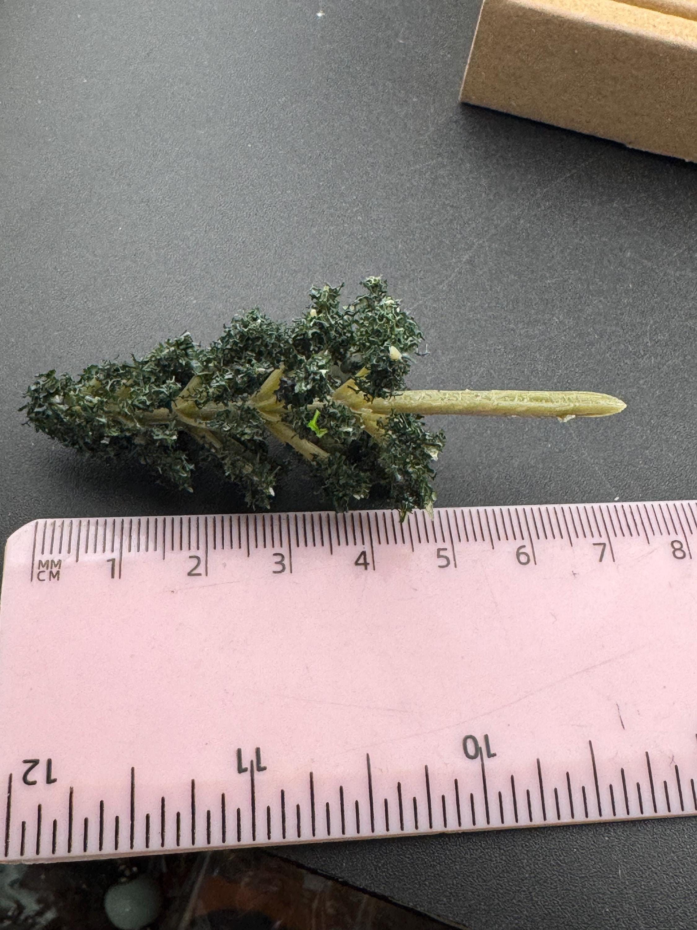 Dark Green Miniature Fir Trees (5 Pieces): 7cm craft scenery