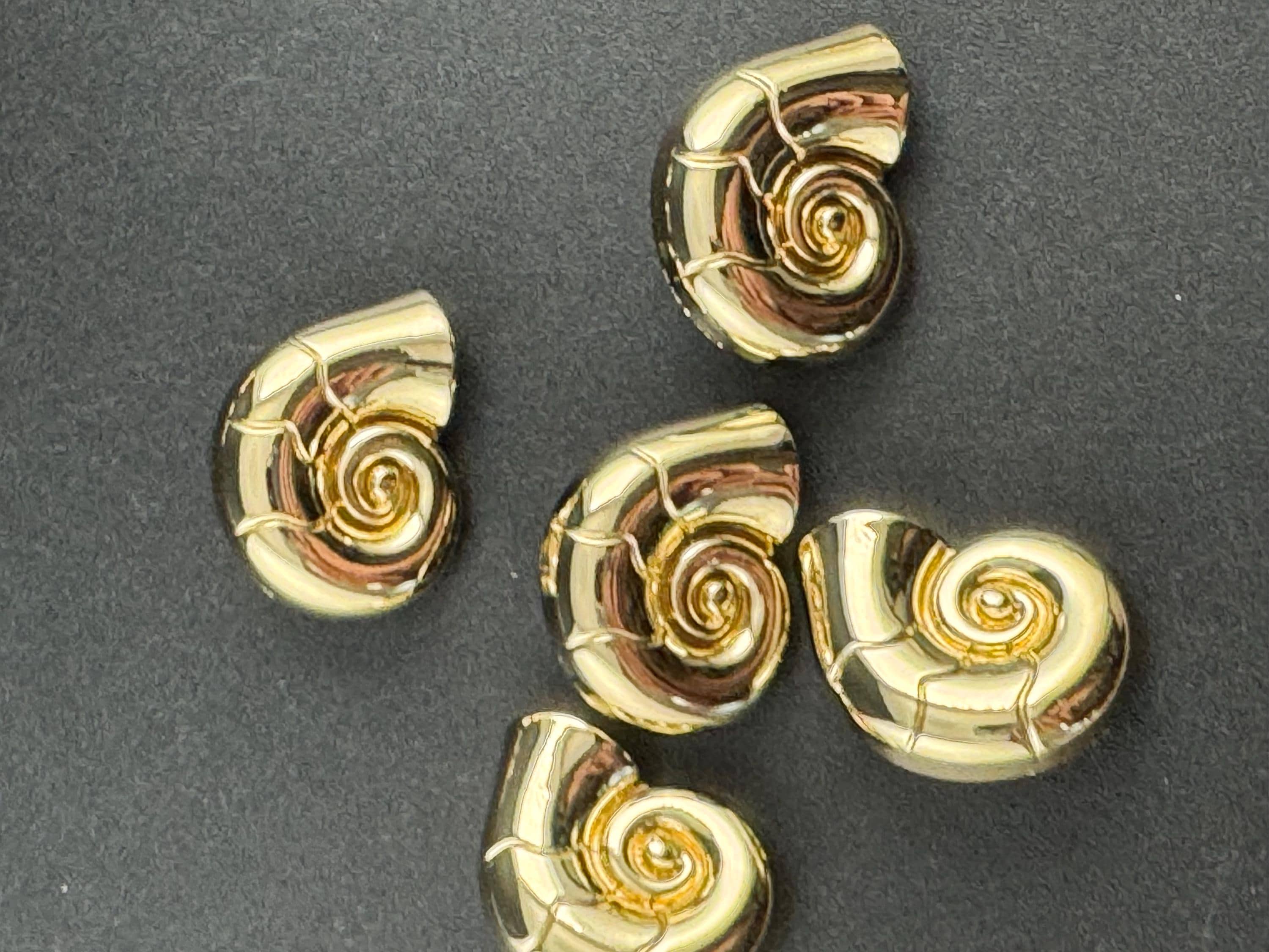 Gold ammonite shell sewing buttons, three sizes 30mm 23mm 20mm