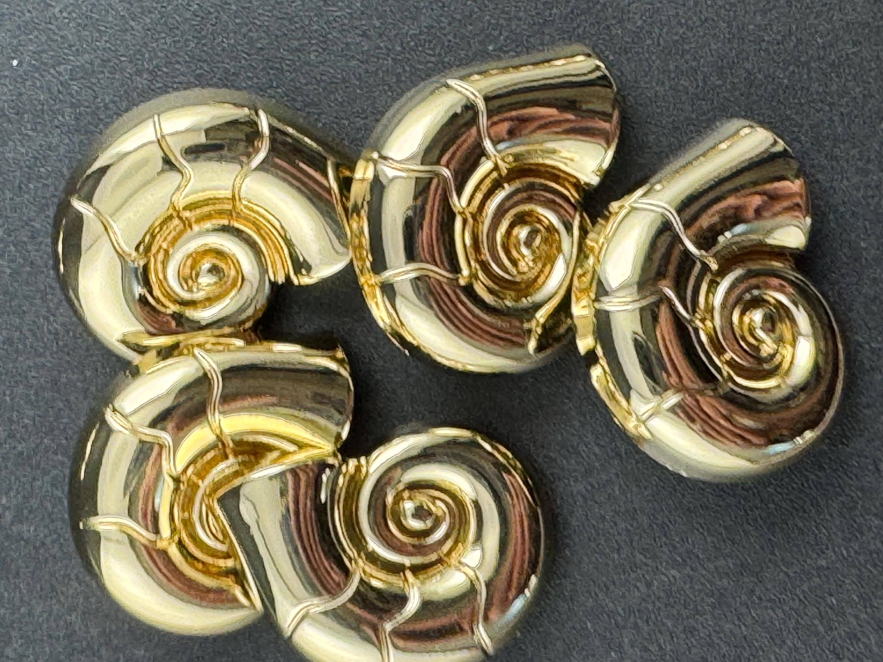 Gold ammonite shell sewing buttons, three sizes 30mm 23mm 20mm