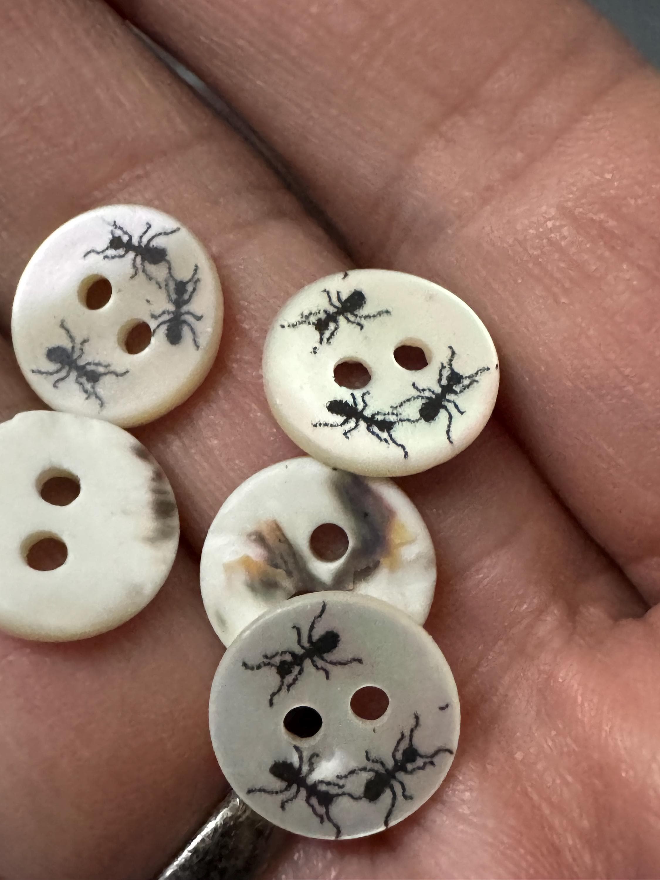 Mother of Pearl ant insect Buttons: Natural MOP Shell bugs, 10mm, 5-Pack