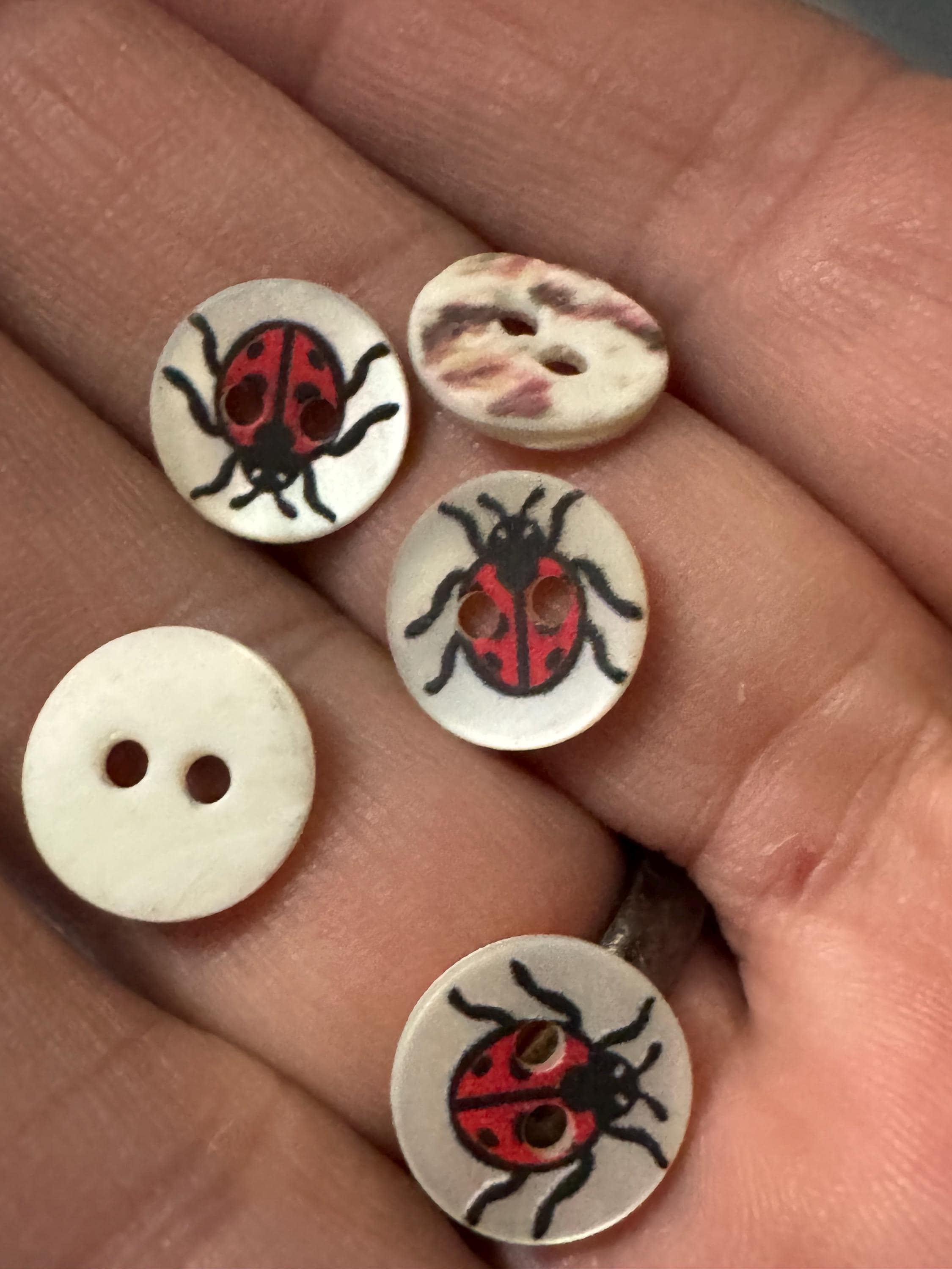 Mother of Pearl ladybird Buttons: Natural MOP Shell ladybugs, 10mm, 5-Pack