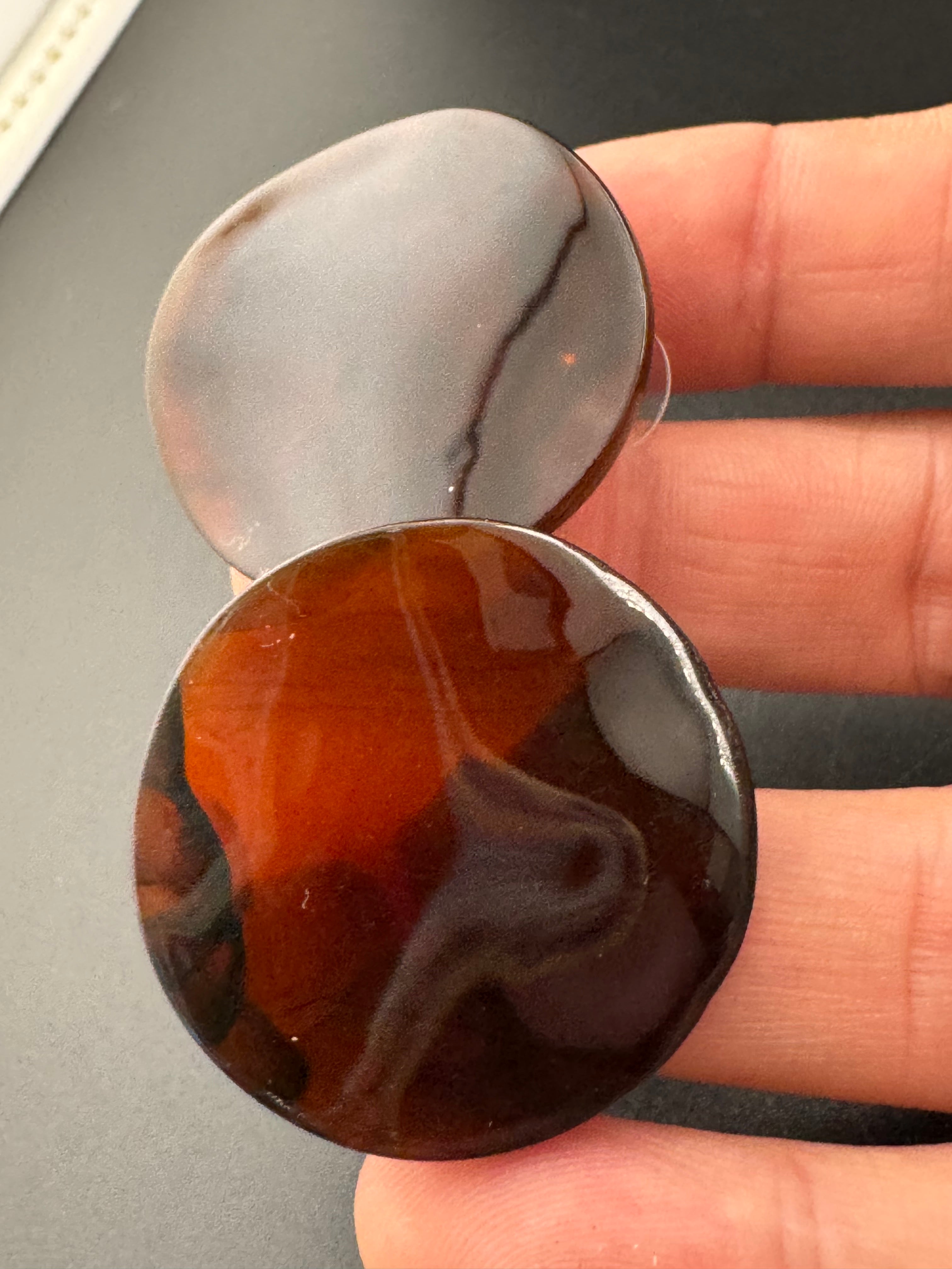 Large tortoiseshell disc earrings