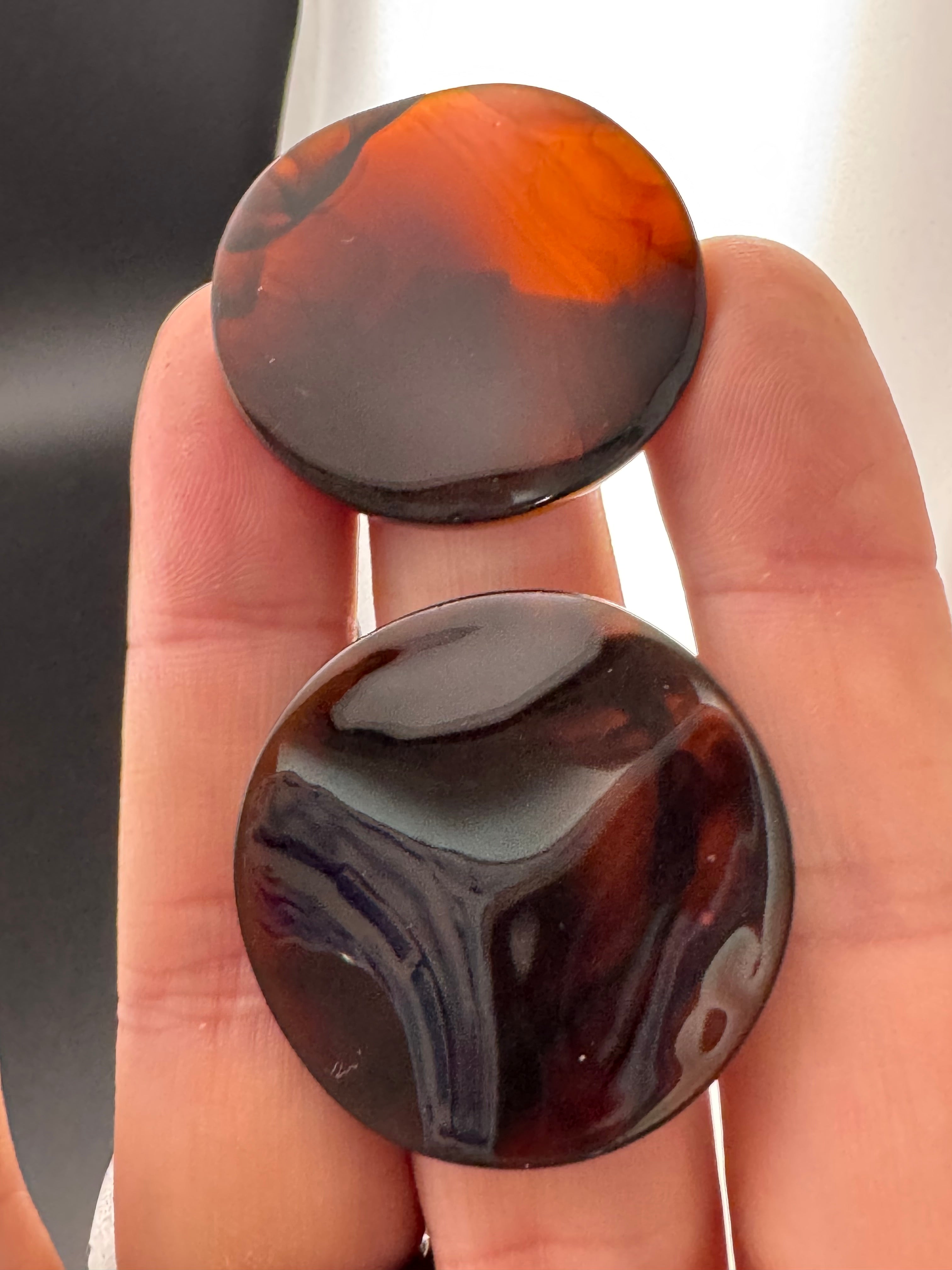 Large tortoiseshell disc earrings
