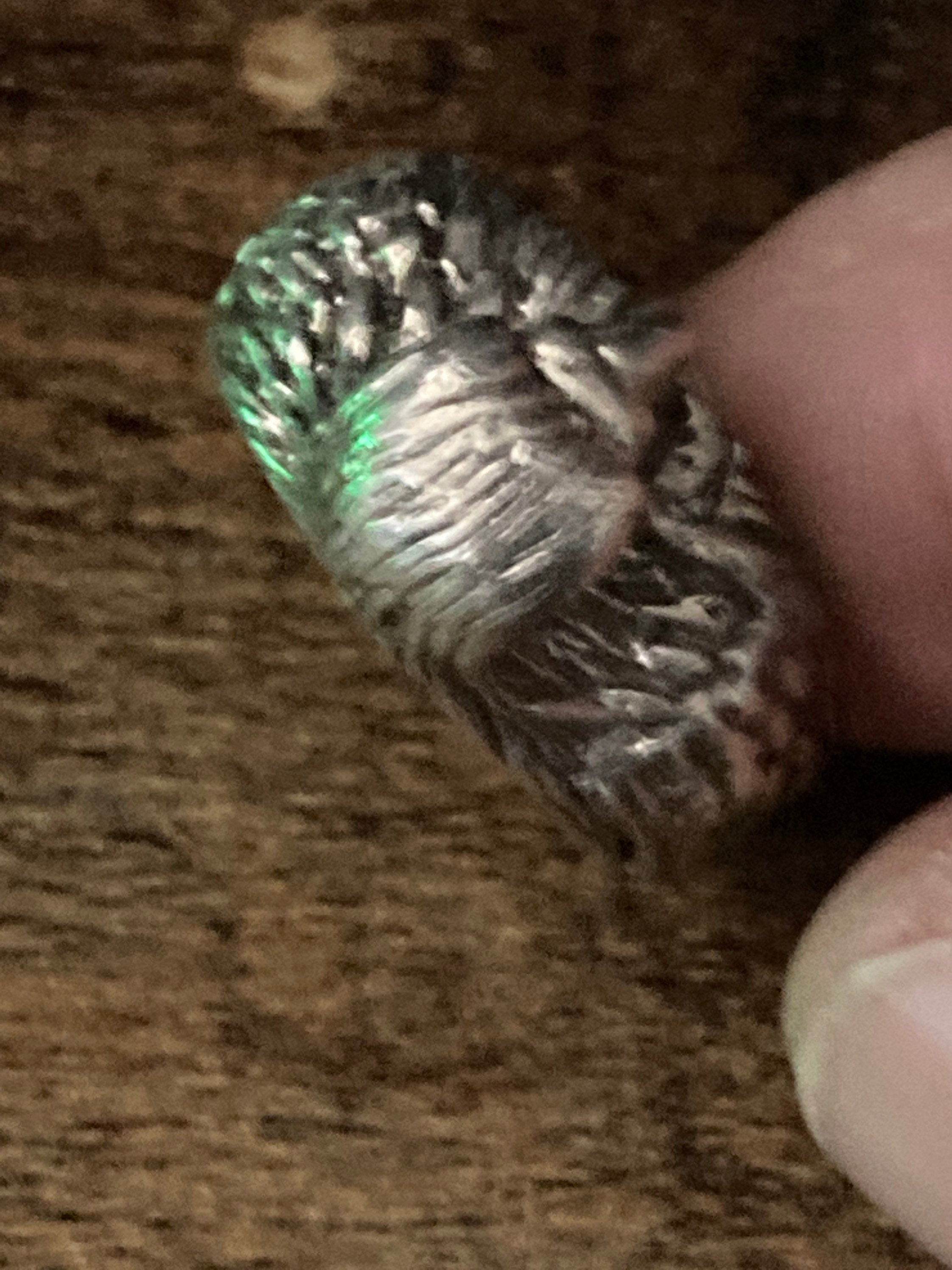 Size Q Mens large cast eagle bird ring Solid silver not hallmarked white metal