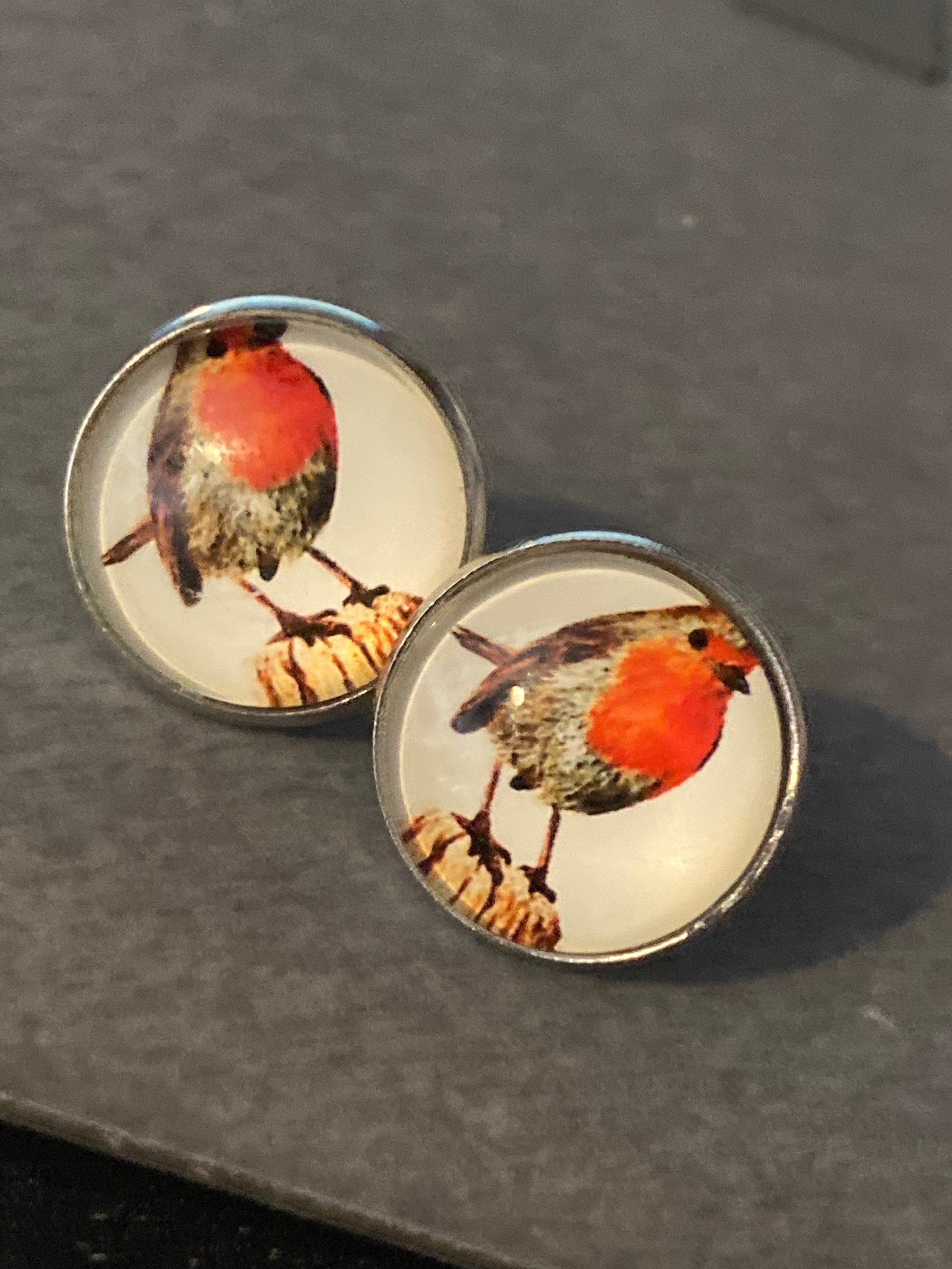 Robin earrings glass cabochon Stainless steel garden bird