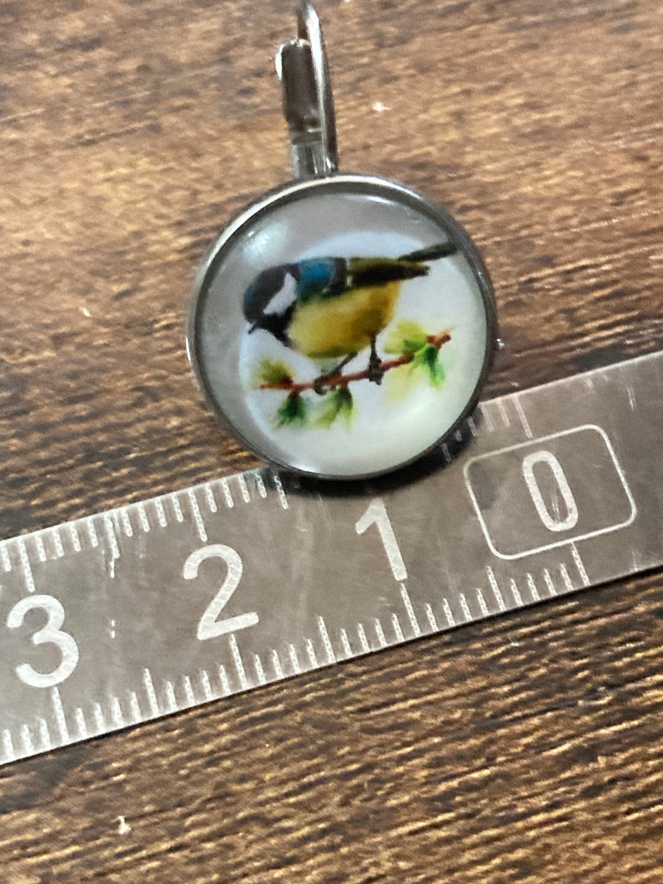 16mm Blue tit earrings glass cabochon Stainless steel garden birds drop earrings