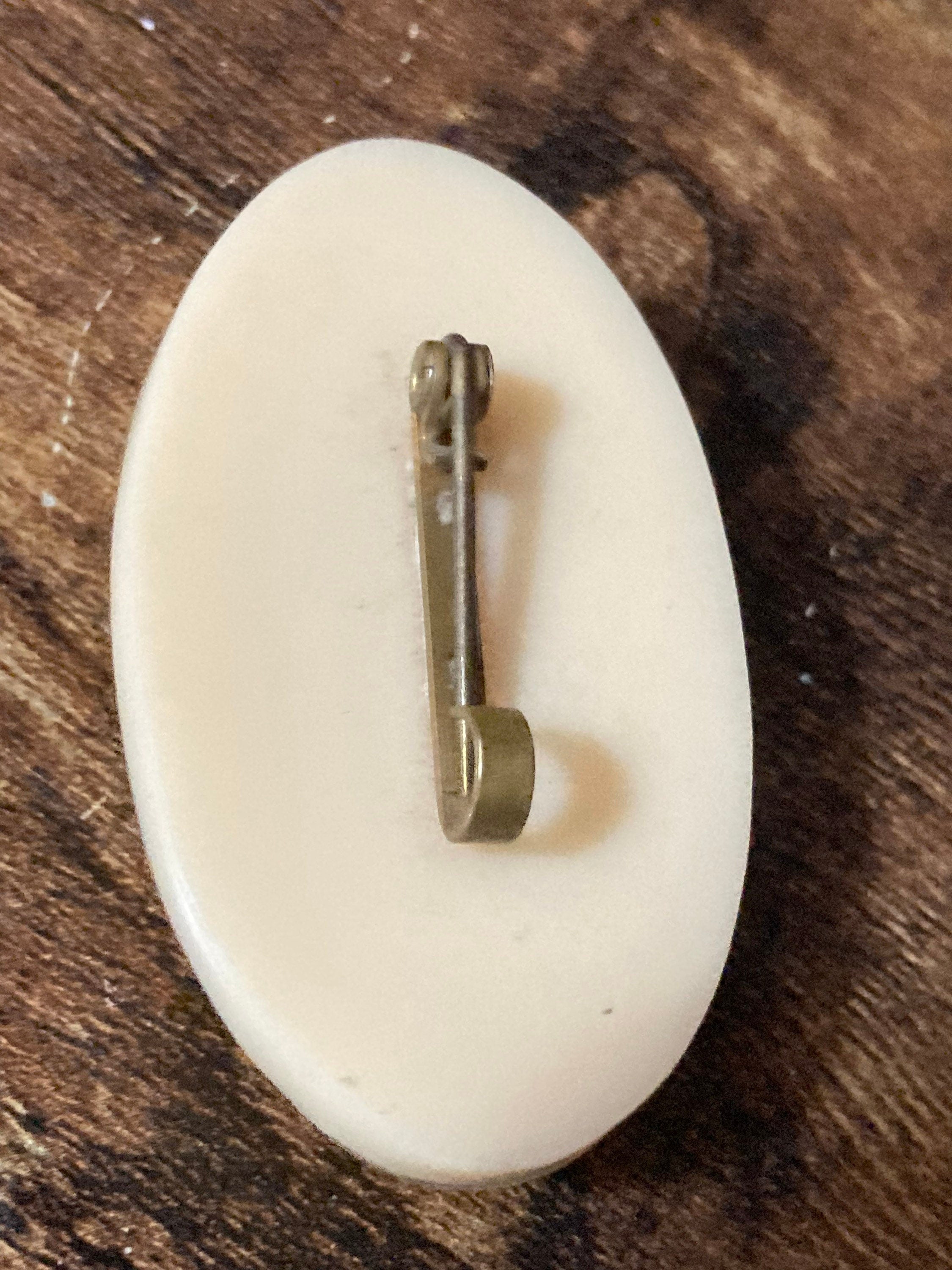 early plastic celluloid domed dried flowers floral bouquet brooch 1930s large oval Vintage kitsch