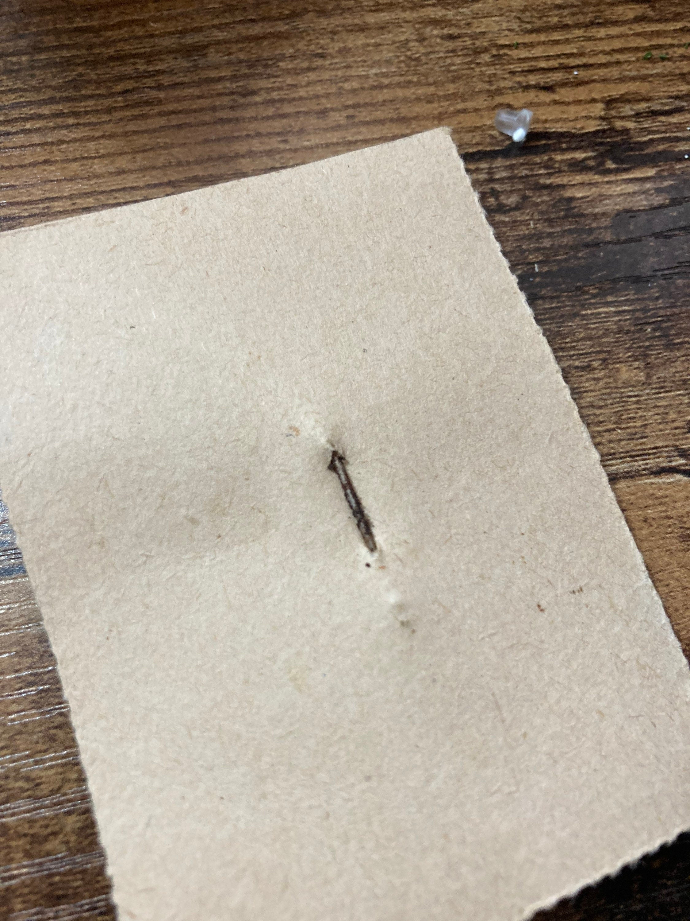 Vintage 1940s green rampant lion celluloid brooch early plastic