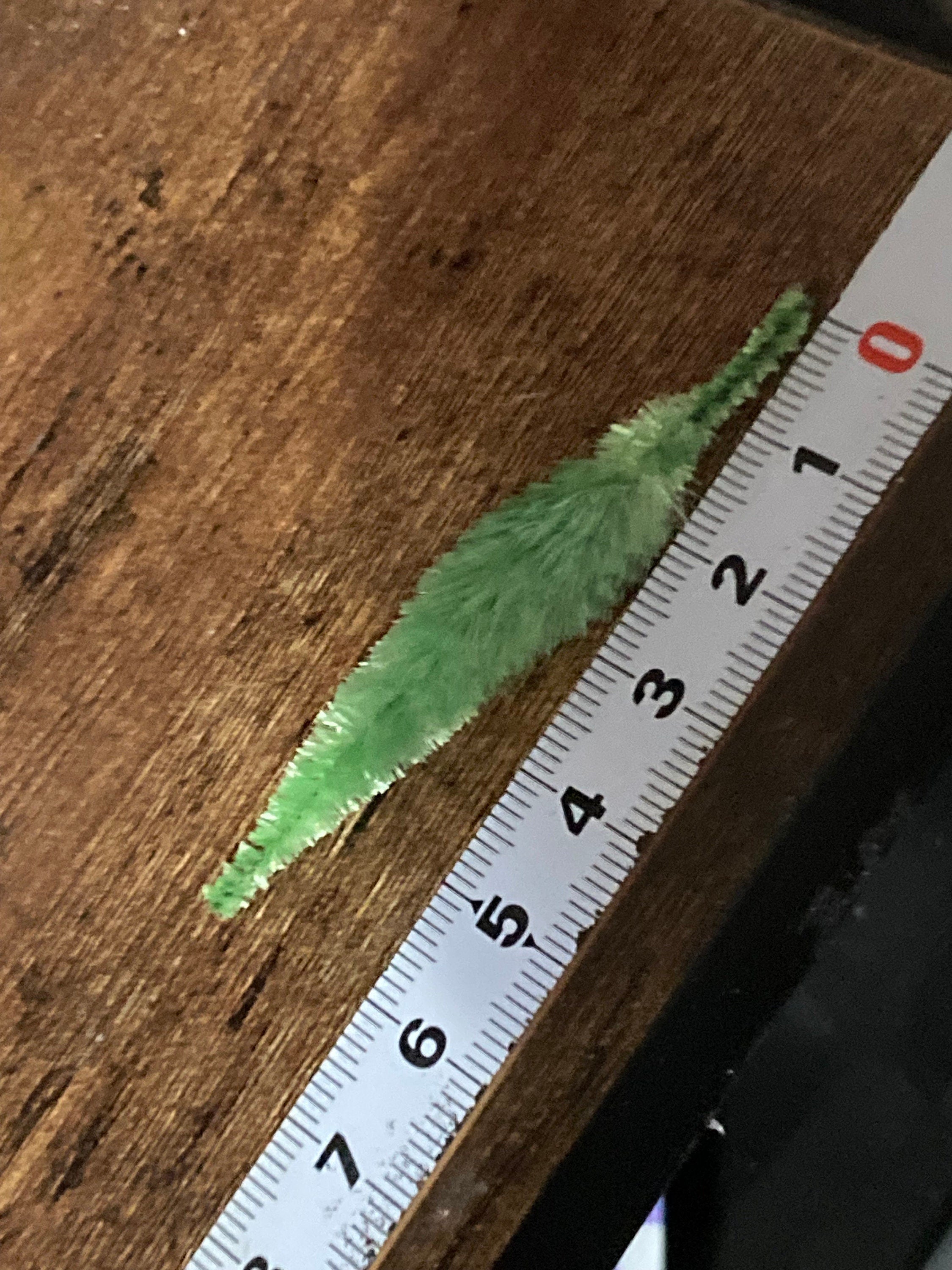 Miniature Bristle Brush Christmas Tree Cake Toppers (5 x 6cm)