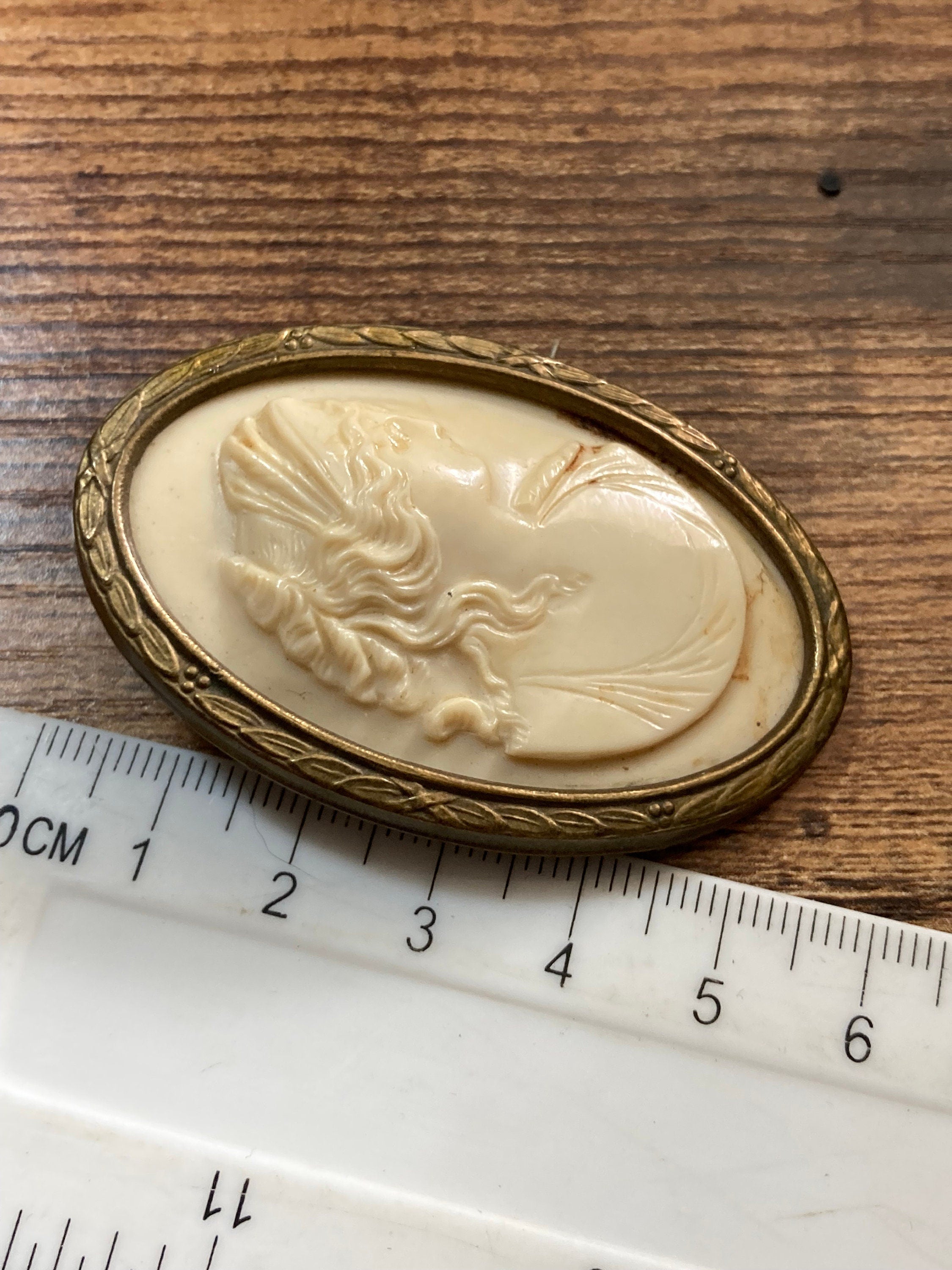 Vintage Edwardian Celluloid Cameo Brooch: Gilt Metal Framed Lady Pin