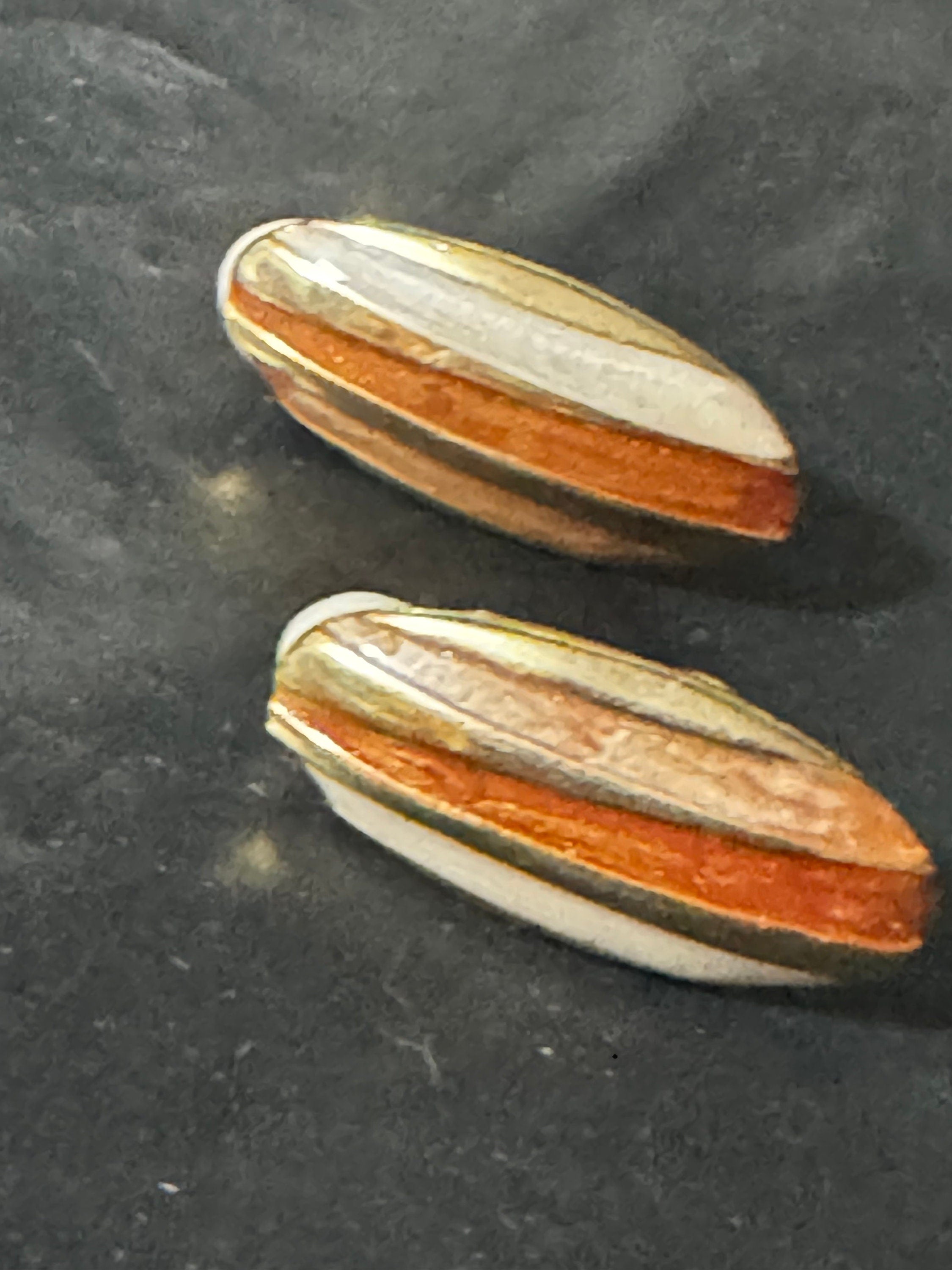 Vintage High End Gold tone brown beige cream  enamel clip on earrings