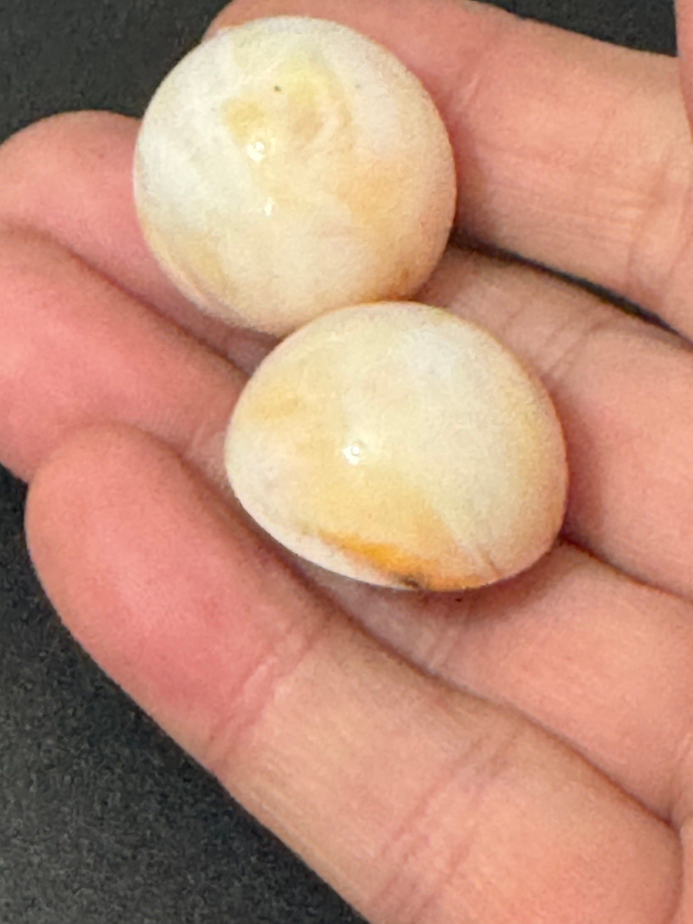 Vintage 1950s marbled beige plastic dome button Clip On Earrings