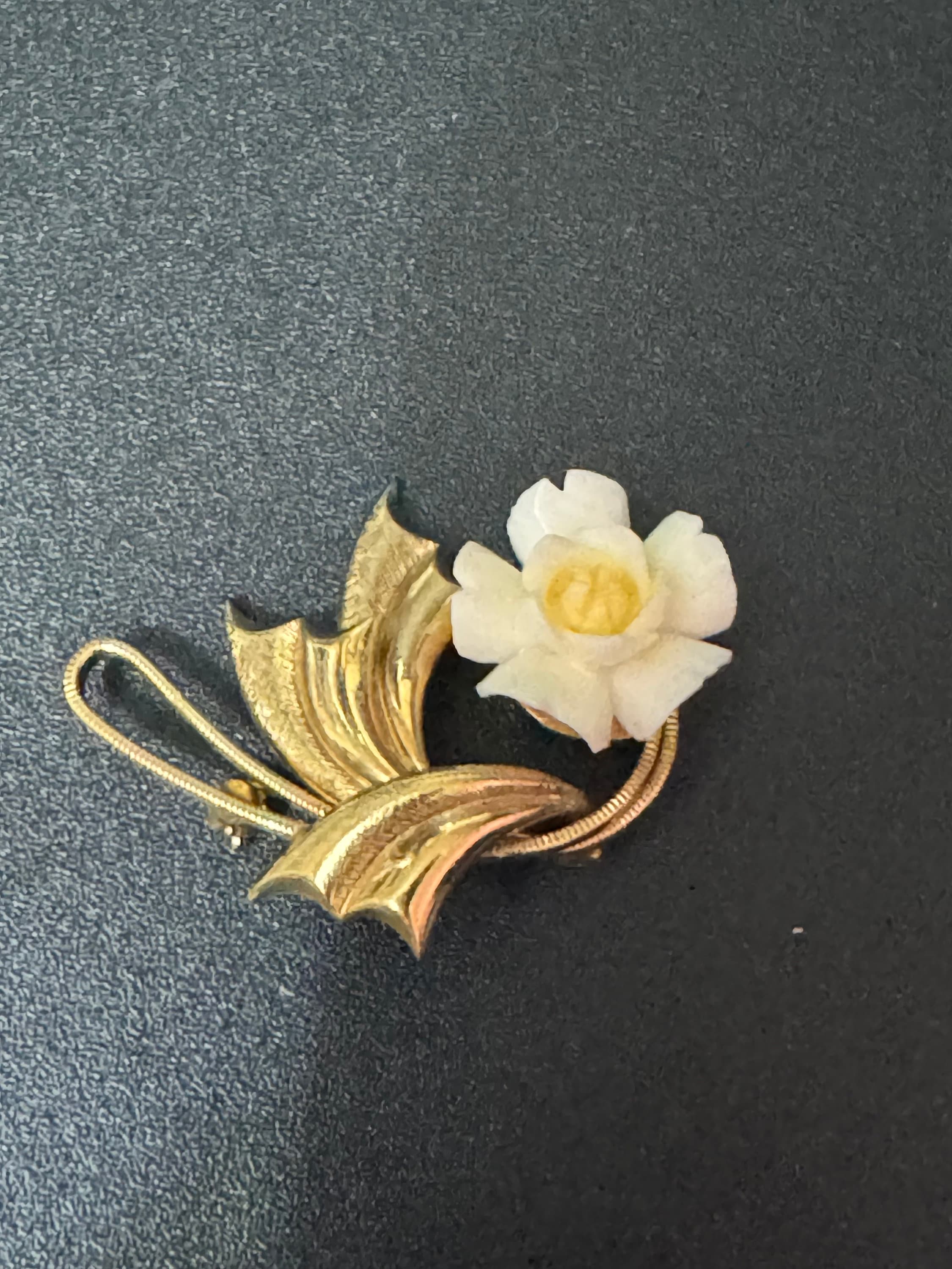 1/20th 18k rolled gold Early Plastic Celluloid Art Deco beige cream resin floral dog rose brooch 4cm