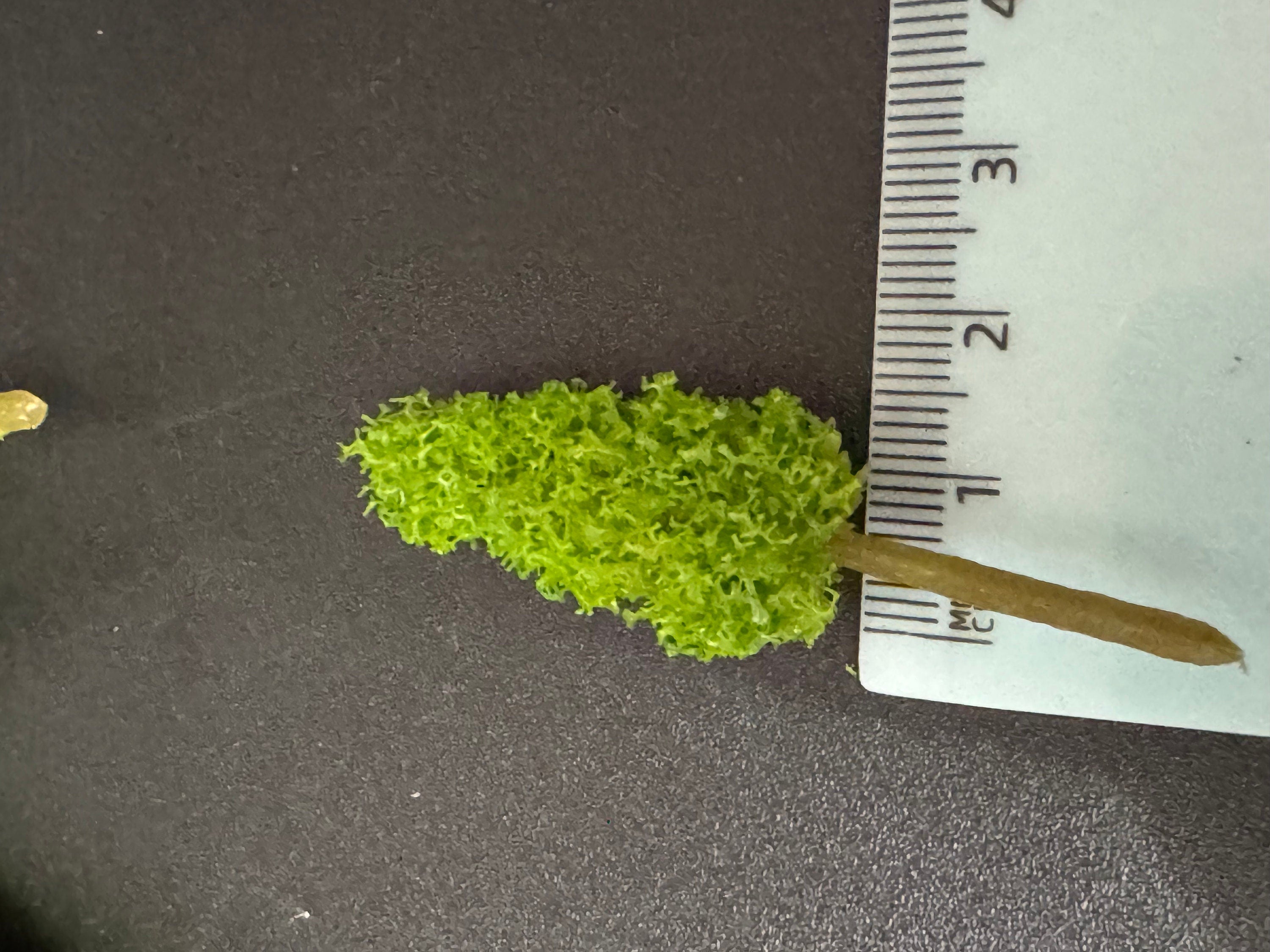 Miniature Green Fir Trees (5 pc): Cake Toppers, Scenery Craft (5cm)