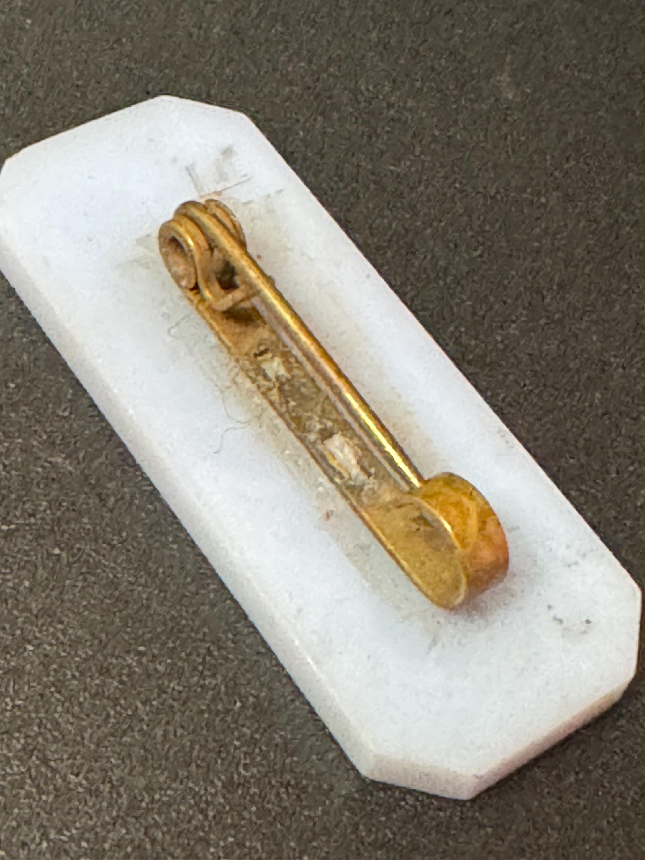 Early Vintage light blue early plastic Carole name brooch 1940s