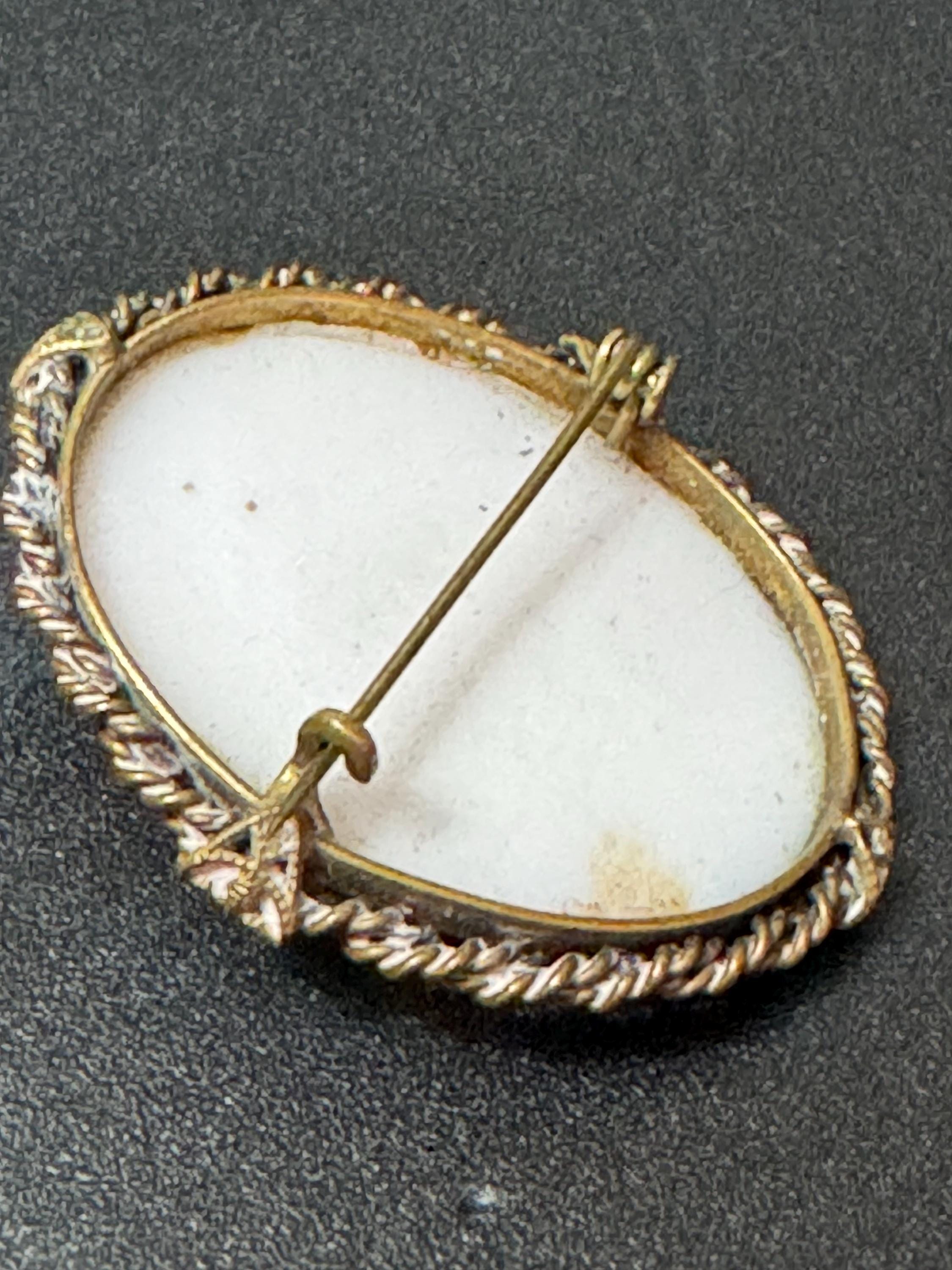 Vintage carved shell oval Cameo Brooch necklace blue beige tones