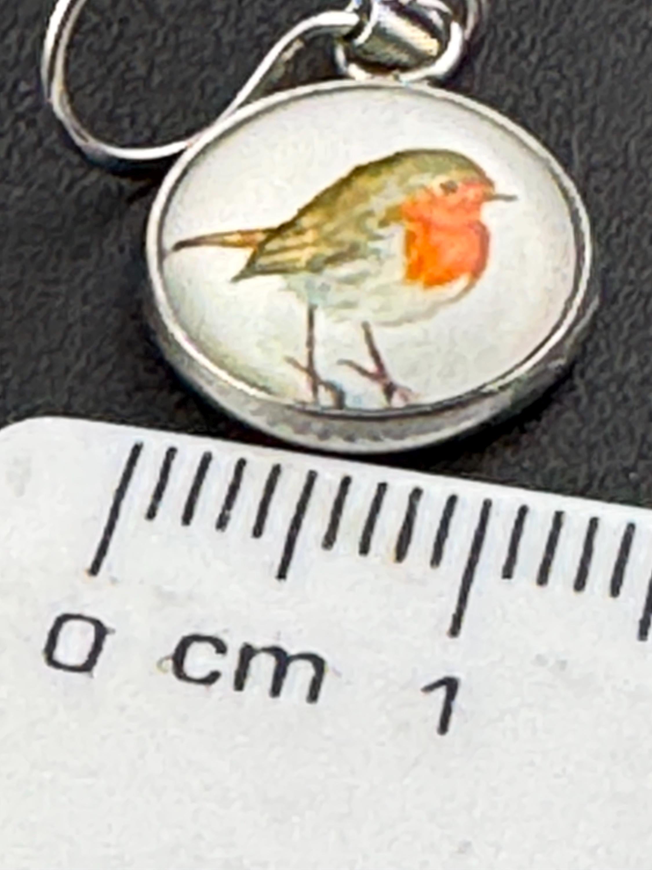 12mm Garden bird Robin redbreast stainless steel drop earrings silver