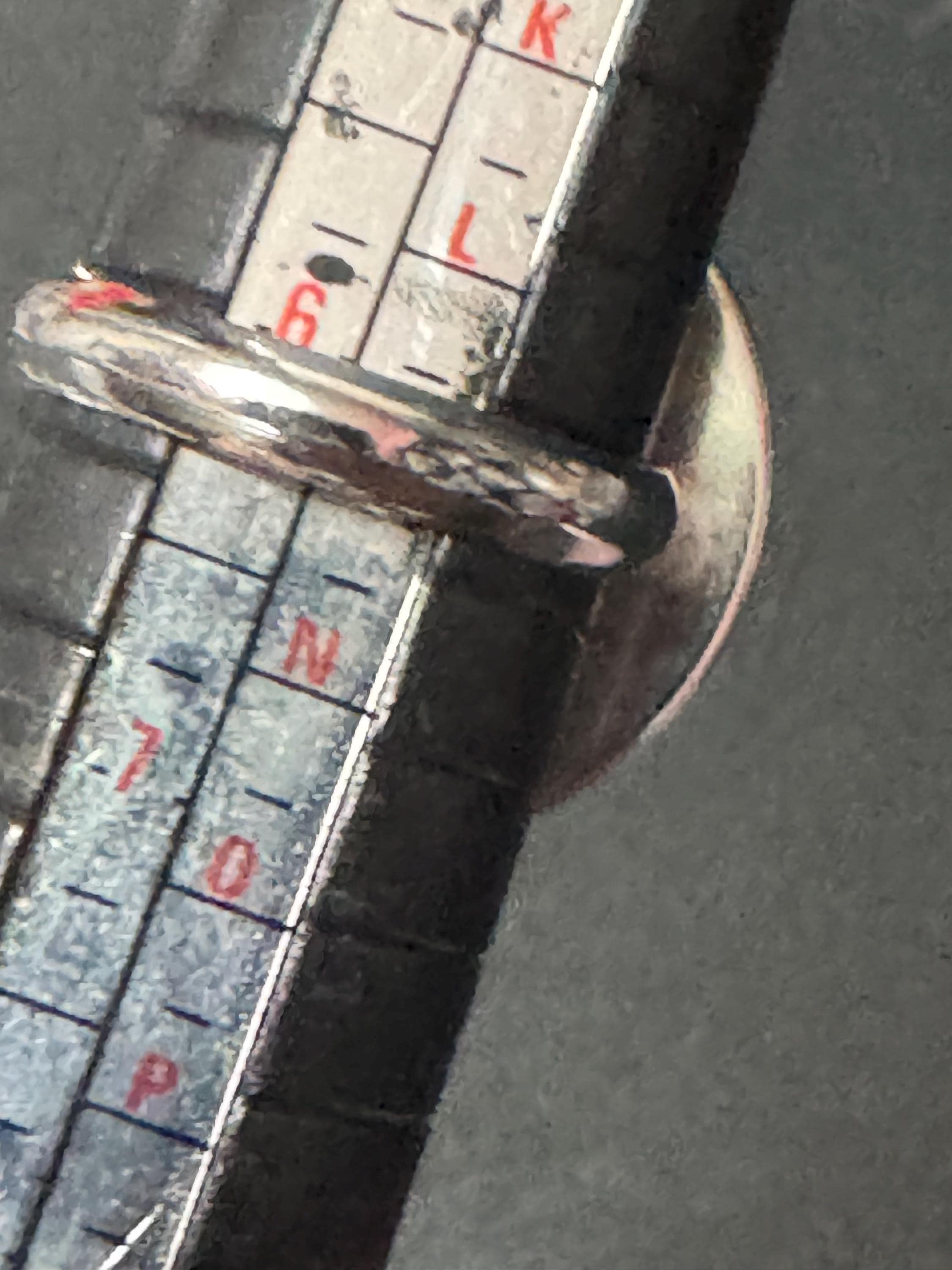 Adjustable Oversized 25mm bezel set Leopard print ring stainless steel, non Tarnish glass cabochon