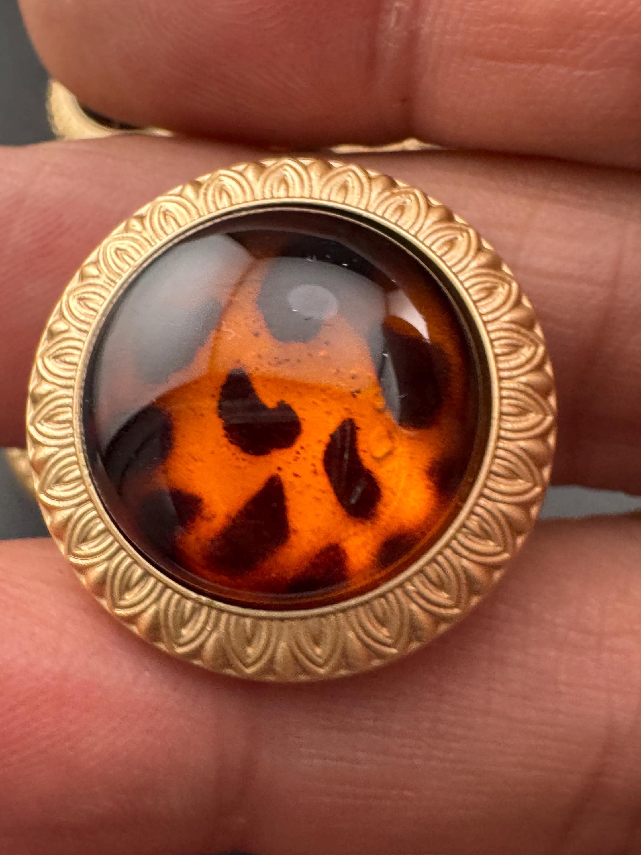 Leopard Print Shank Buttons: Amber Brown Acrylic & Gold Metal (5 pack)