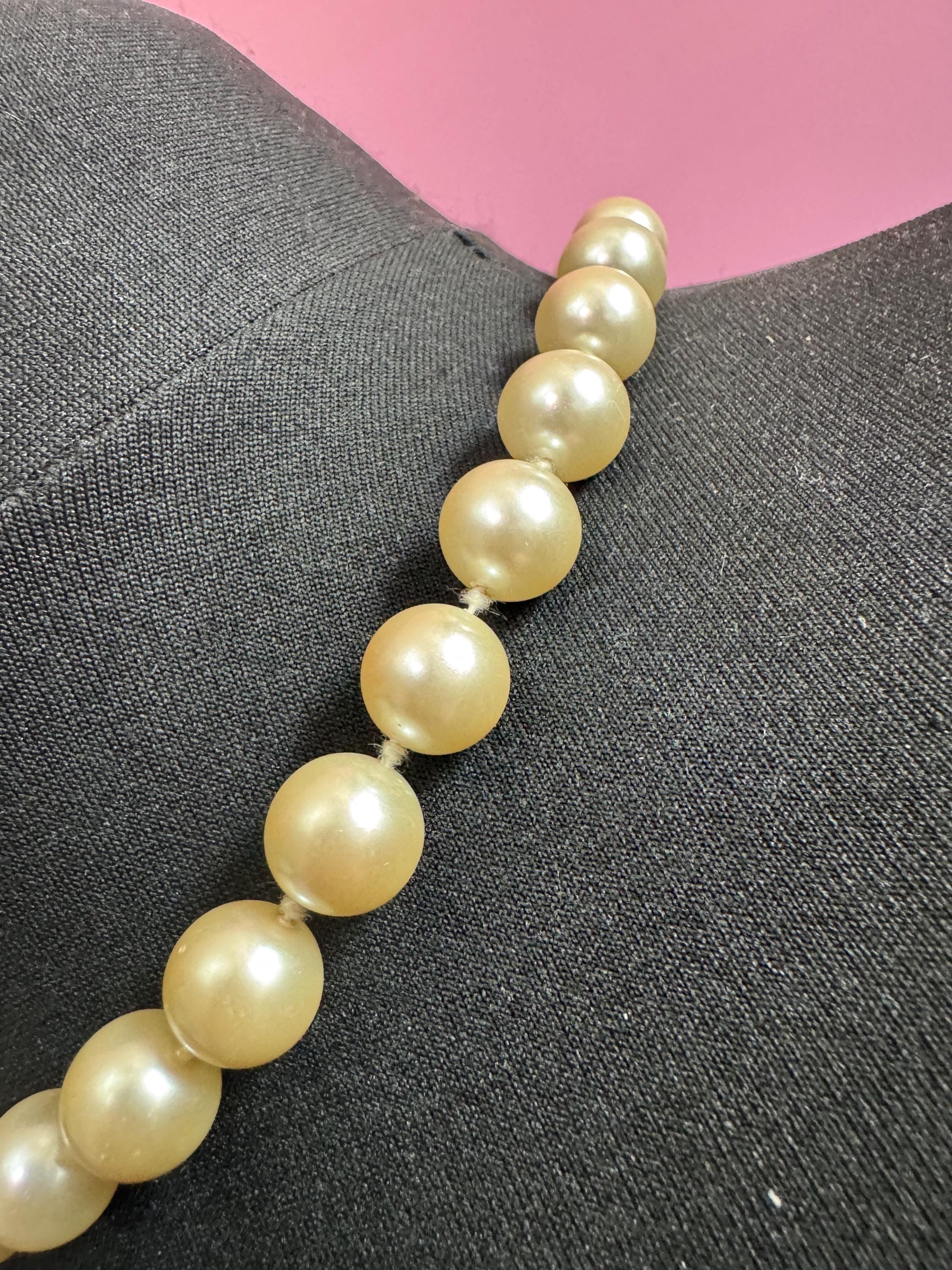 Signed bijoux Cassio Italian high end vintage gold tone choker necklace with large faux pearls