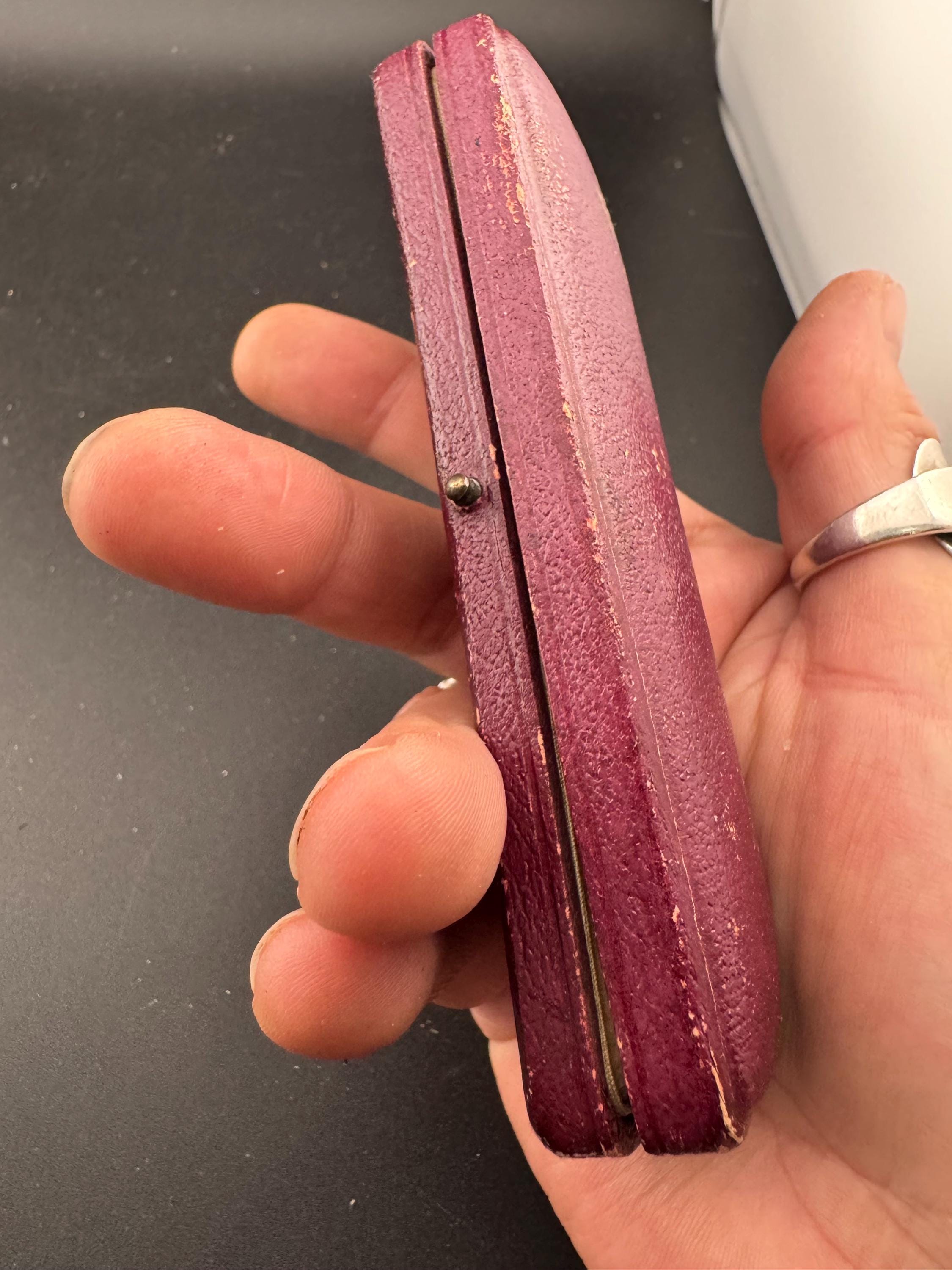 Antique Equestrian Shirt Stud Set: Green Iridescent & Brown, Tooled Leather Case