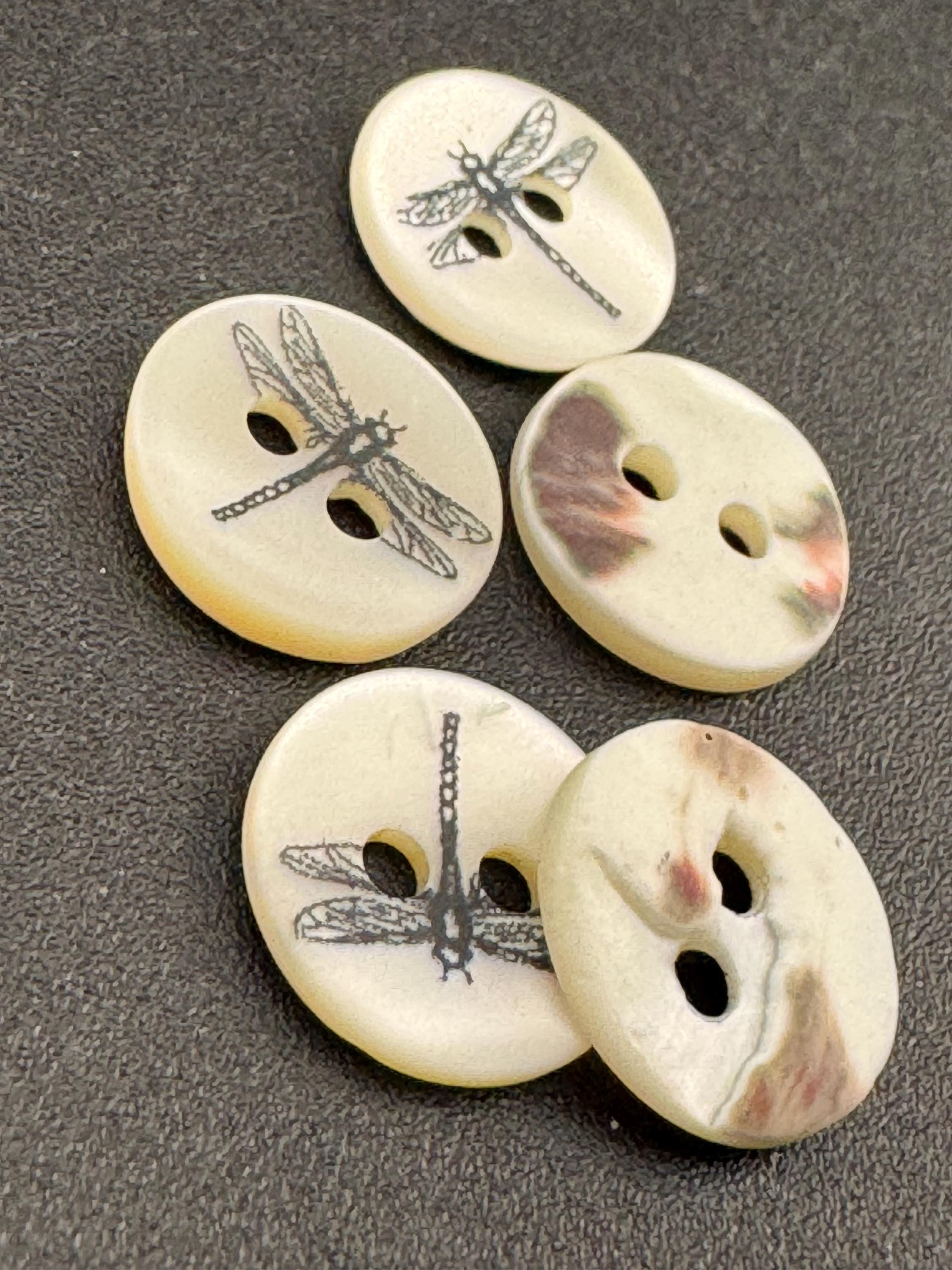 5 pack  x 10mm dragonfly insect small round natural MOP Mother of Pearl shell Buttons with 2 holes